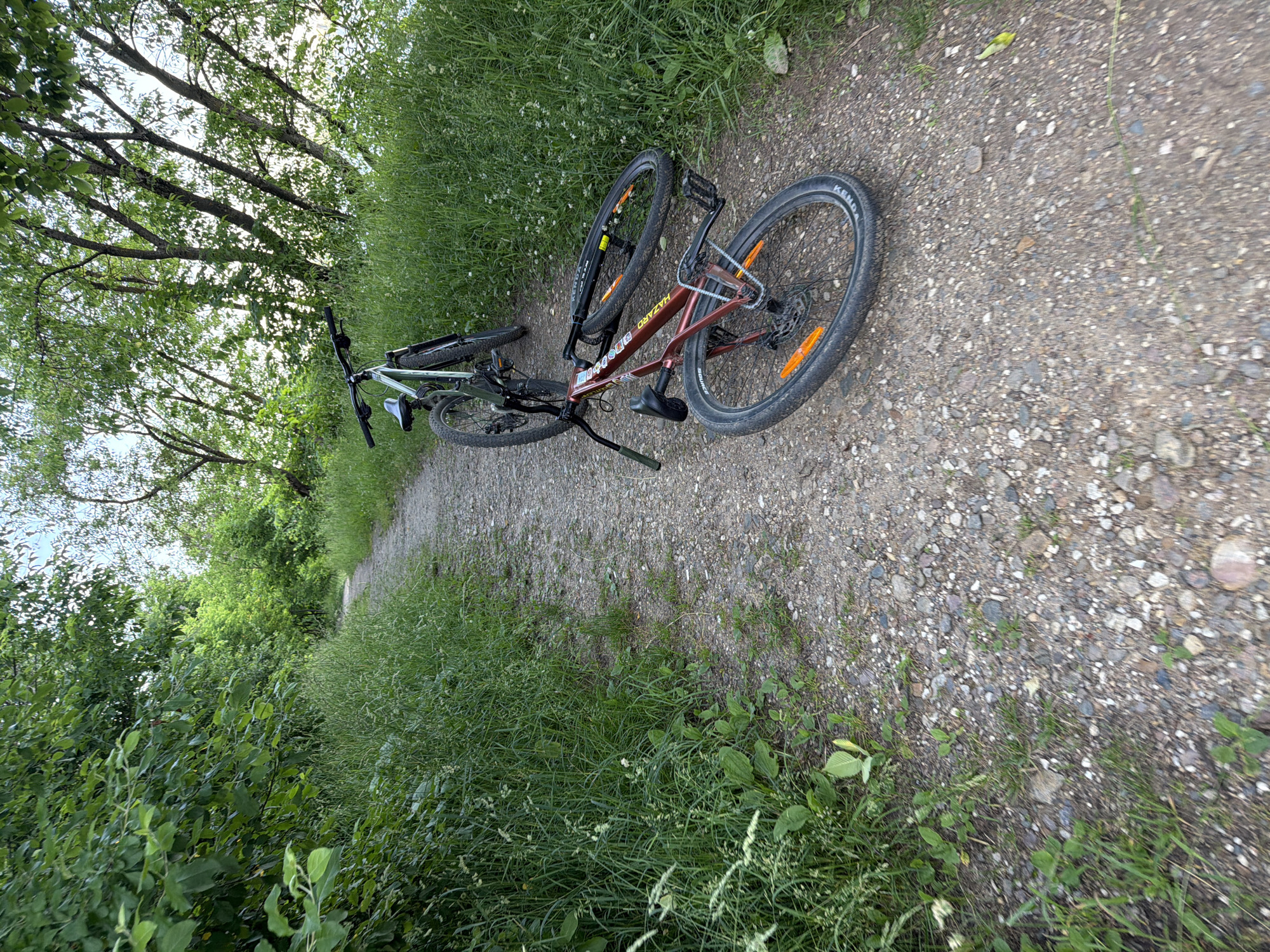 Two bicycles are parked on a gravel path in a wooded area. One bicycle, a dark red mountain bike, is lying on its side. The second bicycle, a lighter green mountain bike, is standing upright further down the path. Lush green grass and trees line both sides of the path. The path appears to be a trail in a park or natural area. The image was taken in Solnechnogorsk, Russia.