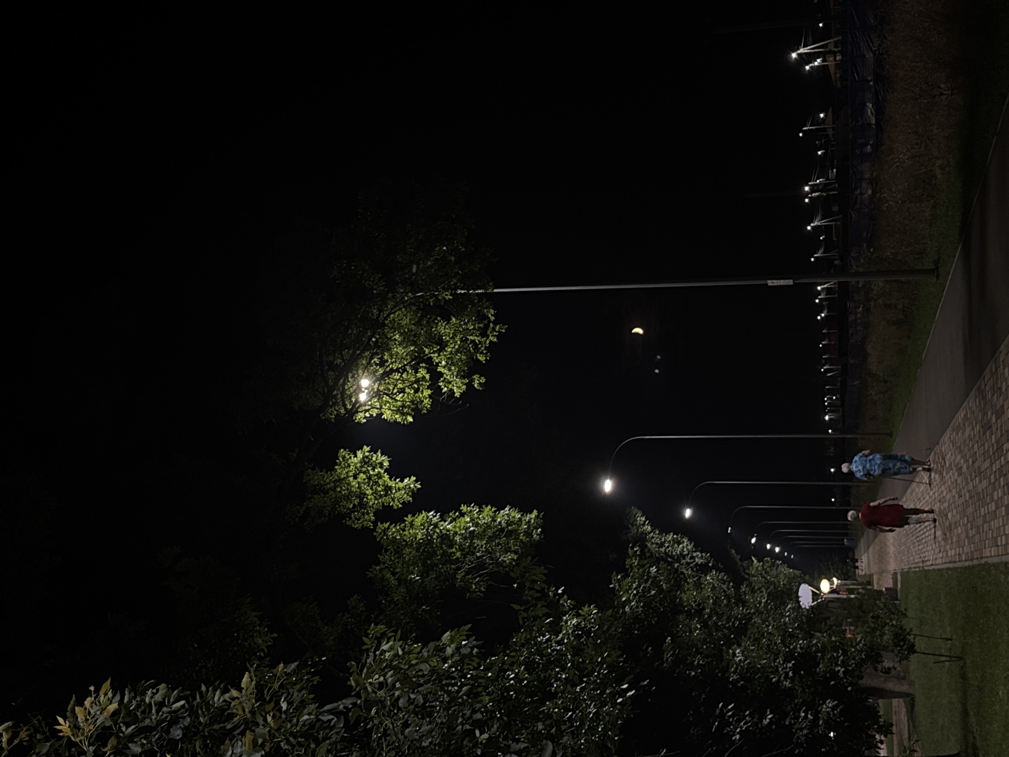 Two elderly individuals, a male and a female, are walking away from the camera on a brick pathway in an urban park at night. The male, wearing a red shirt and dark shorts, uses a cane. The female, in a blue and white patterned dress, walks beside him. The pathway is lined with streetlights that illuminate the path. Tall trees with lush green foliage overhang the pathway on the left side of the image. The background is dark, with more distant streetlights visible, and a sliver of the moon and two faint points of light, possibly other celestial bodies or lights, are in the upper right quadrant of the sky. The ground is covered with grass and dry vegetation along the pathway.