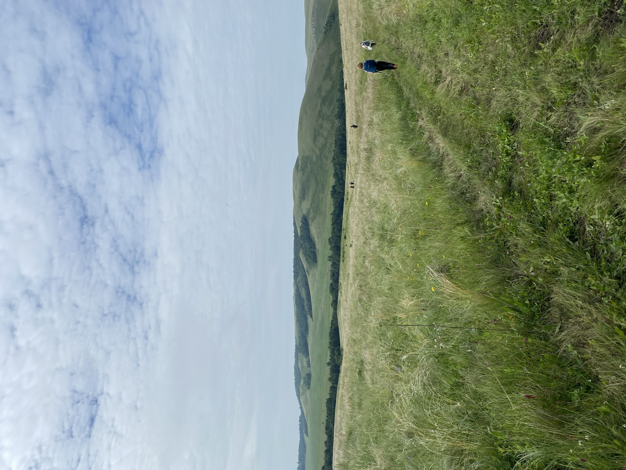 A wide-angle, eye-level shot captures a scenic landscape near Bogoslovka, Russia, under a partly cloudy sky. The foreground is dominated by a field of tall, golden-hued grasses, with some scattered green vegetation and small wildflowers. A well-worn dirt path winds through the grass, leading into the distance.
Further into the scene, several individuals are observed walking along the path. In the immediate foreground, two people are walking away from the camera. The person closer to the camera, on the left side of the path, is wearing a blue backpack and dark pants, and appears to be using trekking poles. The person further ahead, on the right side of the path, is wearing a white jacket and backpack.
In the mid-ground, several other figures can be seen walking along the path, becoming progressively smaller. The background features rolling green hills, some sparsely dotted with trees and others densely forested. The overall impression is one of a peaceful, outdoor excursion in a rural setting.