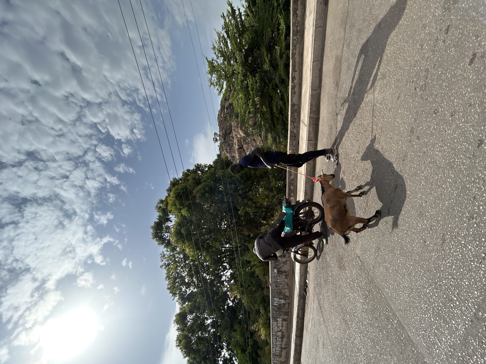 On a paved road in Jos, Nigeria, a brown goat with a black tail is being led by a red rope leash. A person wearing a black shirt and black pants is holding the leash, while another person wearing a gray shirt and black pants is fixing a motorcycle. The sky is visible with clouds and power lines. Trees and a rock formation are in the background.