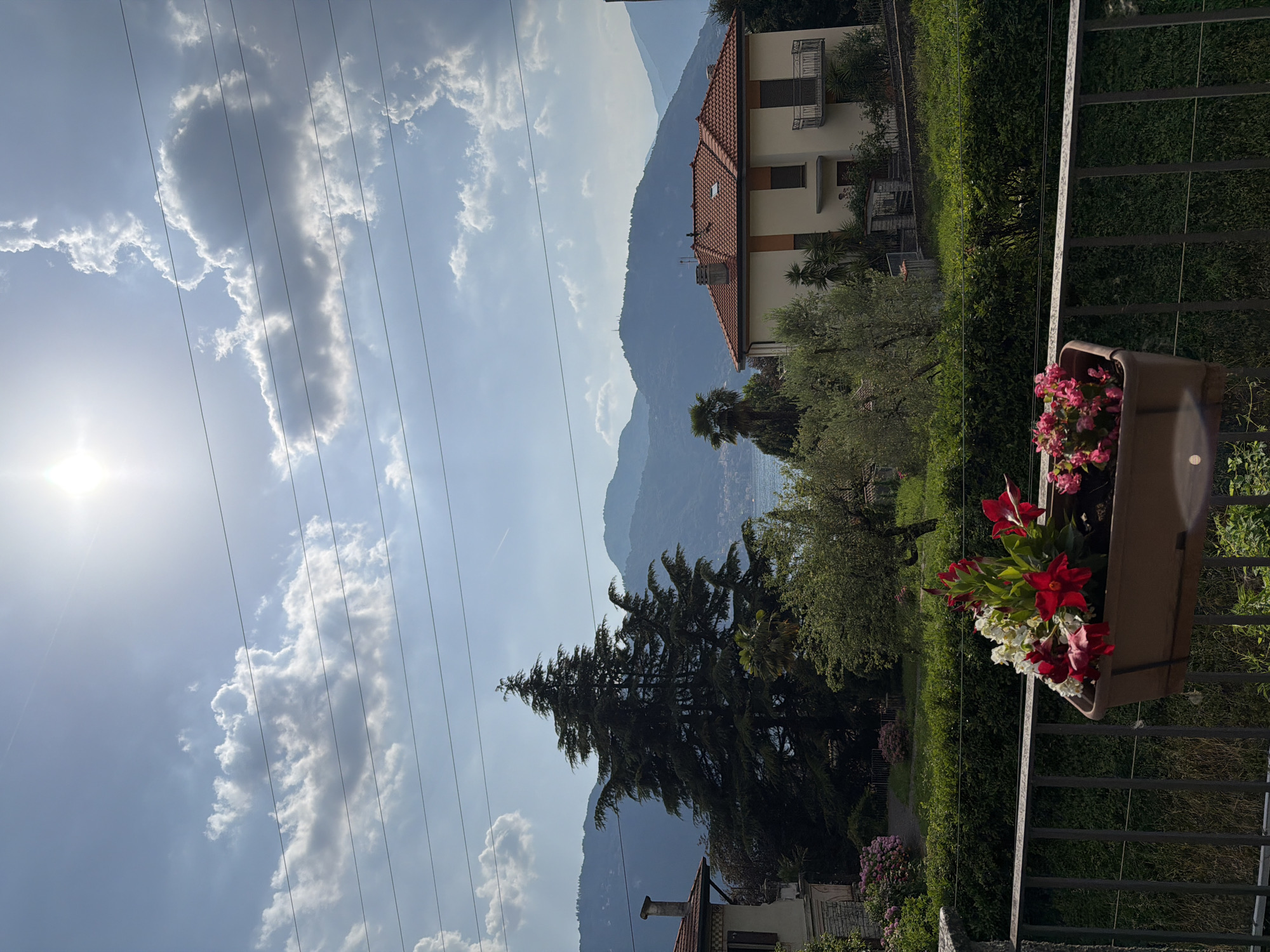 This is a landscape photograph taken from a balcony or elevated position, looking out over a town nestled between hills and a body of water. In the foreground, a brown planter box is filled with red and white flowers. A dark metal railing runs across the bottom of the image.
Beyond the railing, a lush green hedge lines the area. Two houses are visible: one to the left, partially obscured by trees, with a red-tiled roof and a chimney; and another to the right, a cream-colored building with an orange trim and a red-tiled roof, featuring balconies.
In the mid-ground, a large, dark green evergreen tree stands prominently to the left of center. Behind the houses and trees, a wide expanse of water, likely a lake, is visible, with hills and mountains rising in the background. The sky is blue with scattered white clouds, and the sun is bright, casting light across the scene. The presence of power lines suggests an inhabited area. The scene depicts a peaceful, sunny day in a town, possibly Lierna, Italy, given the architectural style and the characteristic lake and mountain landscape.