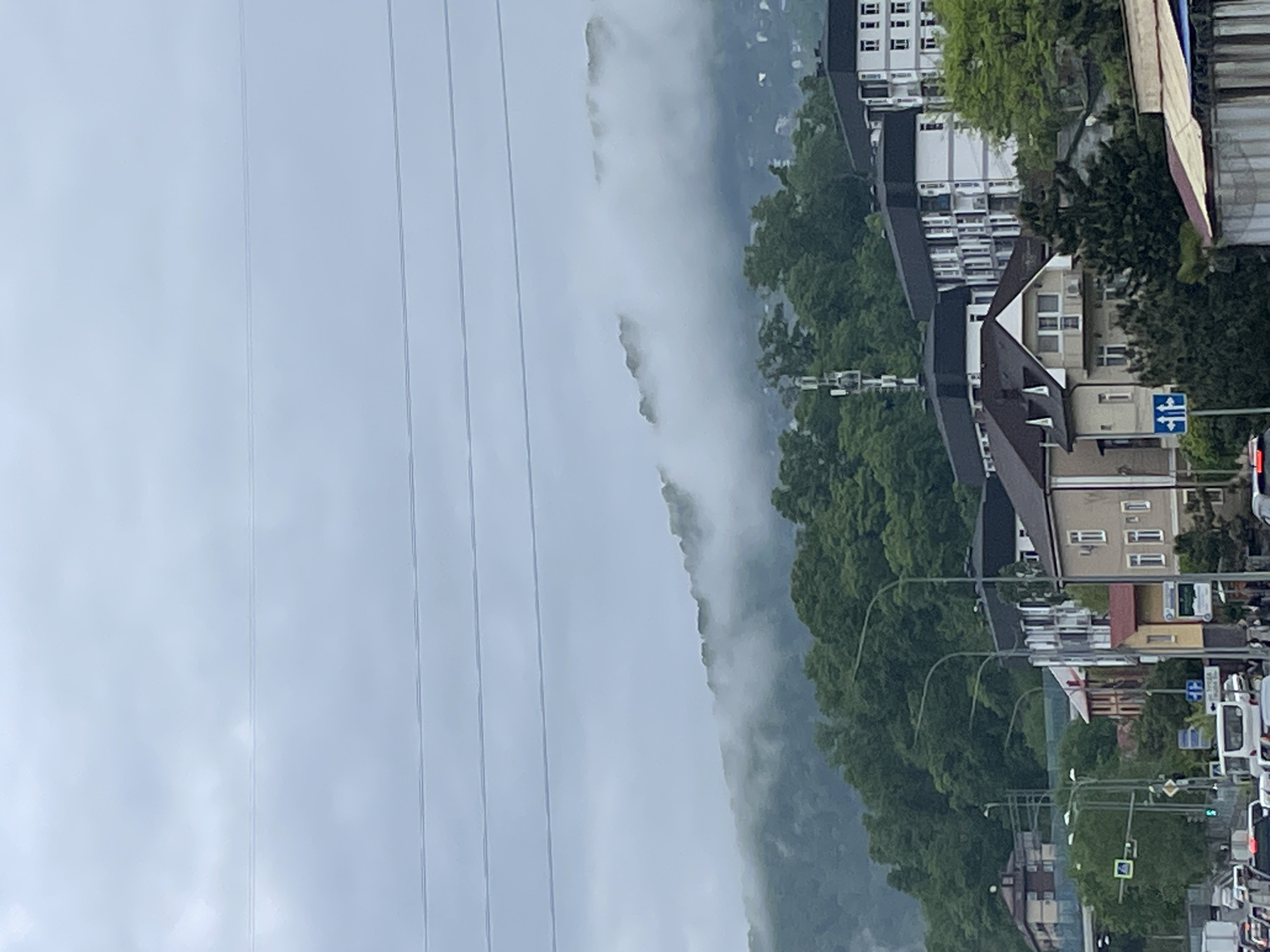 The image shows a foggy hillside next to a city street in Sochi, Russia. Utility lines stretch across the left side of the image, partially obscuring the view. The hillside is heavily forested, with fog or low clouds obscuring the upper portion. To the right, buildings of varying heights and architectural styles are visible. Streetlights and traffic signs line the road. A small amount of traffic is visible. The weather appears overcast and gray.