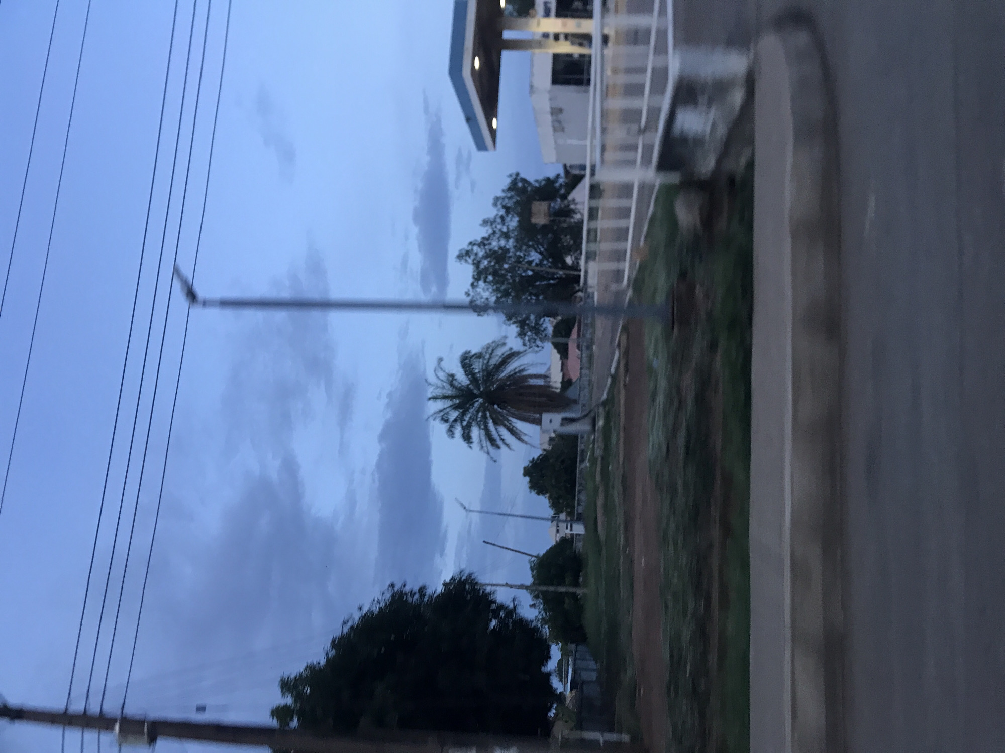 The image depicts a static, low-light street scene in New Stadium, Nigeria, during either dawn or dusk. The sky above is a muted blue with scattered altocumulus clouds. Multiple black electrical wires traverse the upper frame, connected to a dark utility pole positioned on the far left.
On the left side of the mid-ground, a large, dense tree with dark foliage is prominent. Behind it, indistinct structures are partially visible. In the central mid-ground, a tall palm tree with a thick trunk and dark fronds stands. Several slender, dark street lamp poles are present throughout the scene, indicating artificial illumination. The ground in the central foreground is unpaved, featuring patches of dry earth and sparse green vegetation.
On the right side, a commercial building resembling a gas station is visible. It features a light-colored canopy with blue trim and illuminated lights underneath. The main building of the station is white. A white metal pedestrian railing or barrier extends horizontally across the right mid-foreground, suggesting a boundary alongside a paved area, potentially a bridge or culvert over a drainage channel.
In the immediate foreground, a grey concrete curb separates the unpaved ground from a dark grey paved roadway. No people are visible within the scene. The overall environment appears to be a semi-urban area with infrastructure and natural elements.