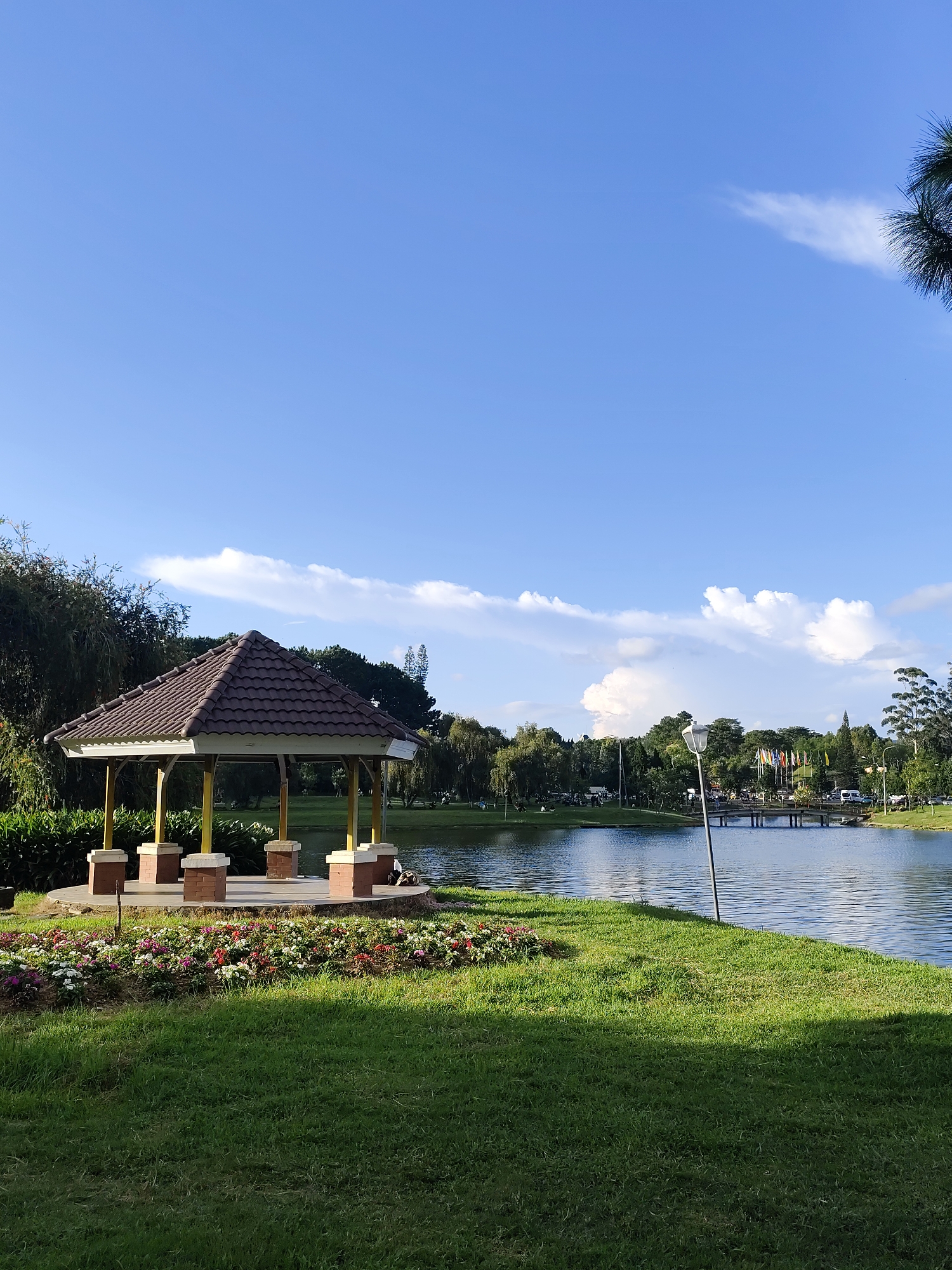 The image depicts a serene park scene in Xuân Hương Lake, Đà Lạt, Vietnam. In the foreground, a lush green lawn is illuminated by sunlight, casting a distinct shadow. A flower bed with a variety of colorful blooms, including pink, white, and red flowers, borders the lawn. To the left, a hexagonal gazebo with a brown tiled roof and yellow pillars stands on a circular concrete platform. The gazebo is supported by brick pillars. Beyond the gazebo, the tranquil waters of Xuân Hương Lake reflect the blue sky and scattered white clouds. A bridge stretches across the lake in the mid-ground, with people and vehicles visible on and around it. Several flags are displayed near the bridge. The background is filled with a variety of trees, creating a natural and verdant atmosphere. A lamppost stands on the right side of the lake, its silhouette against the water. The overall impression is one of a peaceful and picturesque public space.