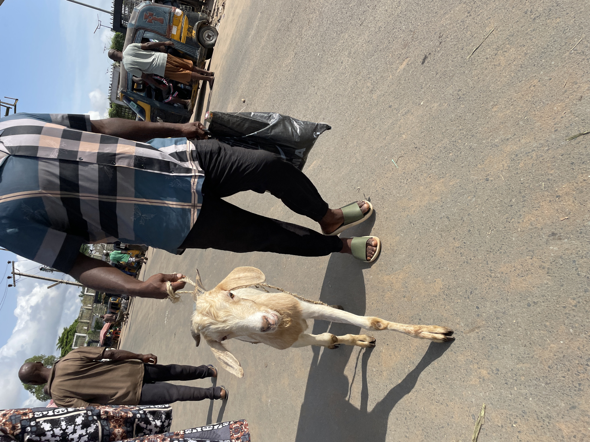 In Onitsha, Nigeria, a man in a checkered short-sleeved shirt and black pants walks down a paved street, holding a light-colored goat by a rope tied around its neck. The man carries a black plastic bag in his other hand. The goat stands on the asphalt, facing the camera. In the background, another man in a brown shirt and dark pants walks away from the viewer. Further in the background, a yellow and black auto-rickshaw is parked, with people inside and near it. The scene appears to be a busy marketplace or street.