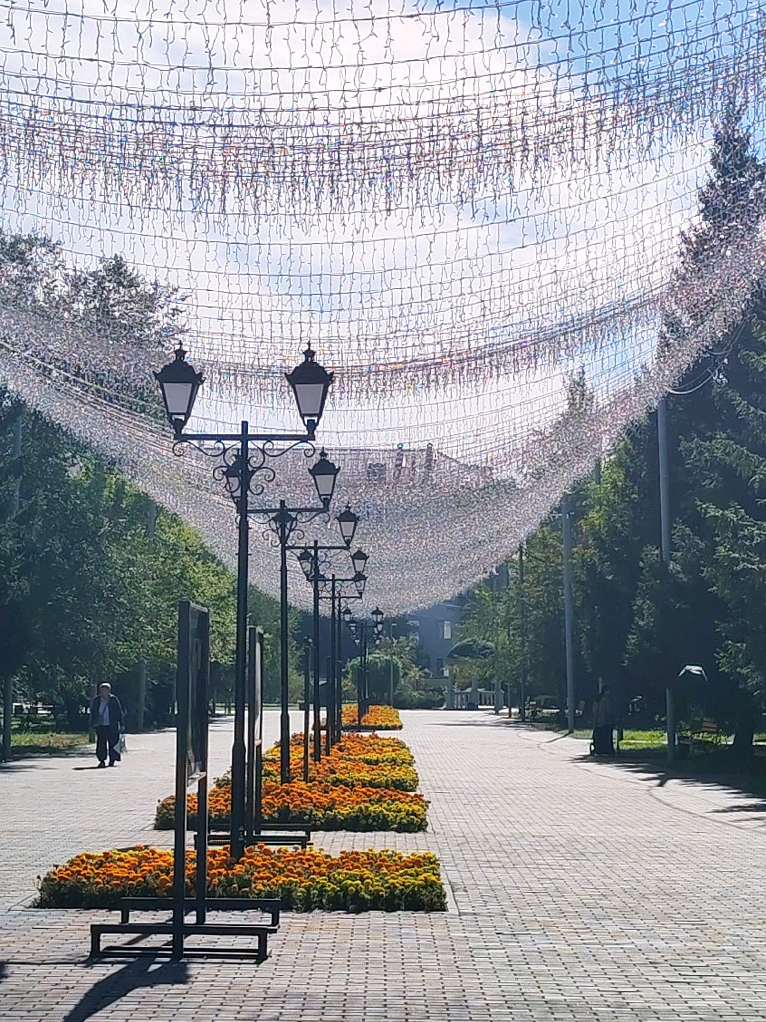 This is a medium shot, eye-level, portrait orientation, outdoor, daytime, photographic image of a paved walkway lined with decorative lamps and flower beds. The walkway extends into the distance, curving gently to the right. On the left side of the walkway, a person, appearing to be an elderly man wearing a dark jacket and lighter pants, walks away from the camera, carrying a bag in his right hand. Ahead of him, a series of ornate, black, multi-lamp lampposts are positioned along the edge of the walkway. In front of the lampposts, dense, low-lying flower beds are filled with bright orange and yellow flowers, bordered by green foliage. The walkway itself is paved with rectangular, grey bricks laid in a basket-weave pattern. On the right side of the walkway, a line of tall, dark green coniferous trees runs parallel to the path, their branches partially obscured by a canopy of decorative lights that spans the entire width of the image overhead. These lights appear as fine, shimmering strands, creating an ethereal, arching effect against the bright, partly cloudy blue sky. The background on the right shows more trees and a hint of a building. The overall scene suggests a park or a public pedestrian area decorated for an event or celebration.