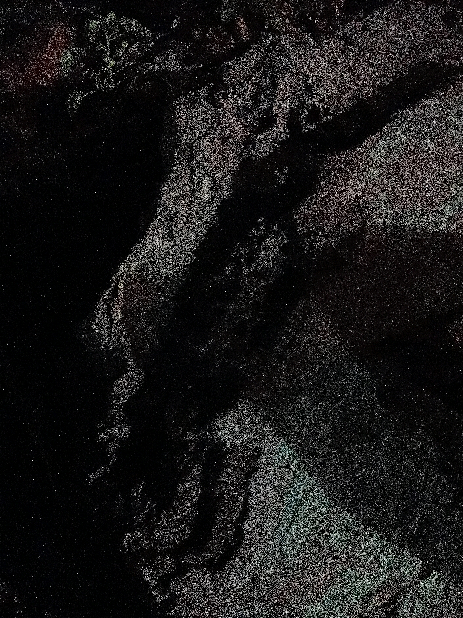 The image displays a close-up view of a textured surface, predominantly dark in color with varying shades of gray and hints of muted green and red. The texture appears rough and uneven, suggesting rock or possibly decaying organic matter. The lighting creates strong shadows, obscuring some details and highlighting others. There is a suggestion of plant life in the upper left quadrant, with small, dark green leaves. The image's composition and content do not provide any identifiable landmarks or context to determine its location within Cikal, Indonesia.