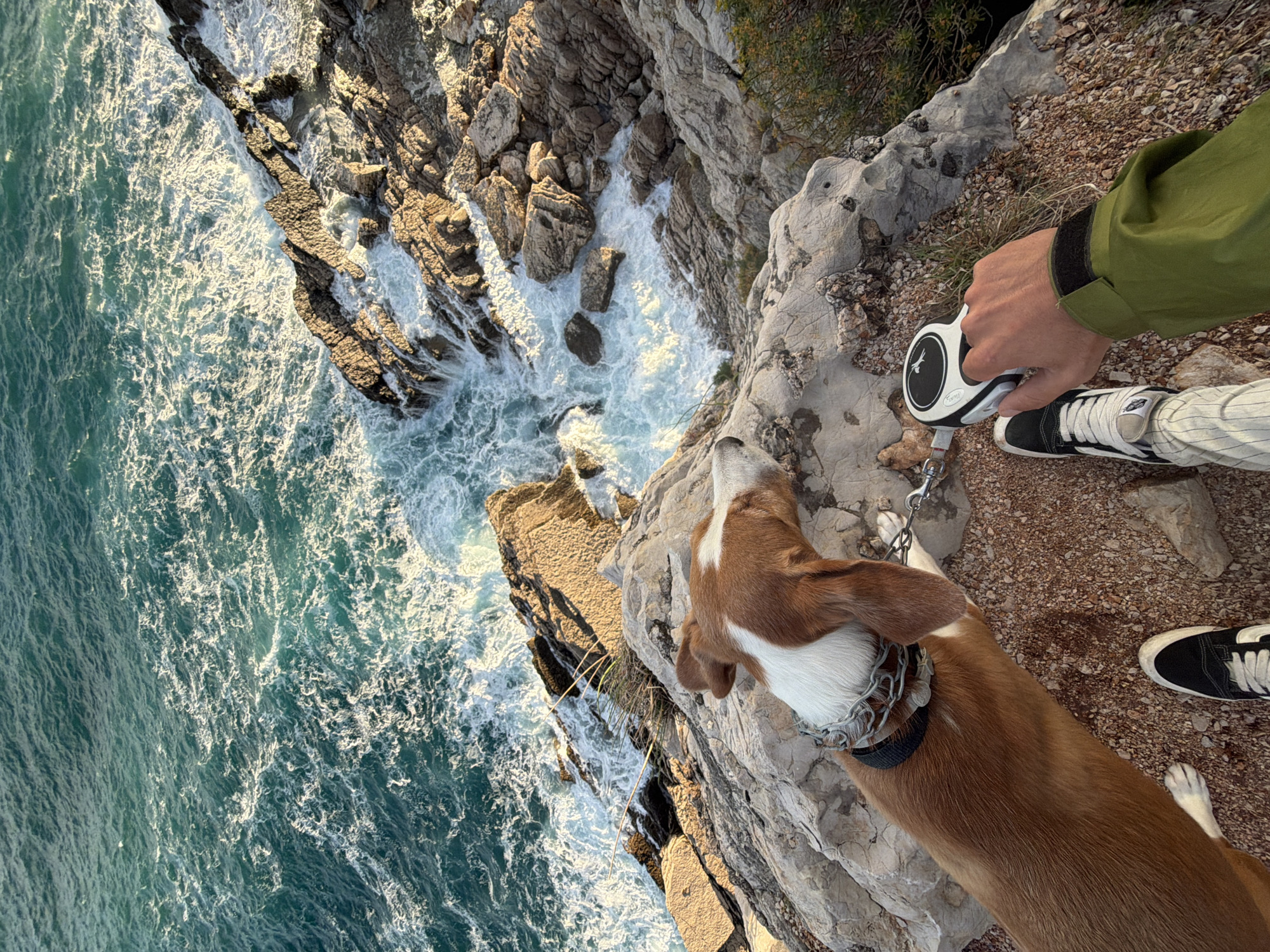 The image, shot from a high vantage point in Mirište, Montenegro, shows a person holding a dog on a retractable leash near a cliff edge overlooking the Adriatic Sea. The sea, a turquoise color with white waves, crashes against the rocky coastline. The dog, predominantly brown with white markings on its head and chest, wears a heavy chain collar. The person, wearing striped pants, black and white sneakers, and a green jacket, holds the leash's handle. The ground is rocky, with small patches of vegetation near the cliff edge.