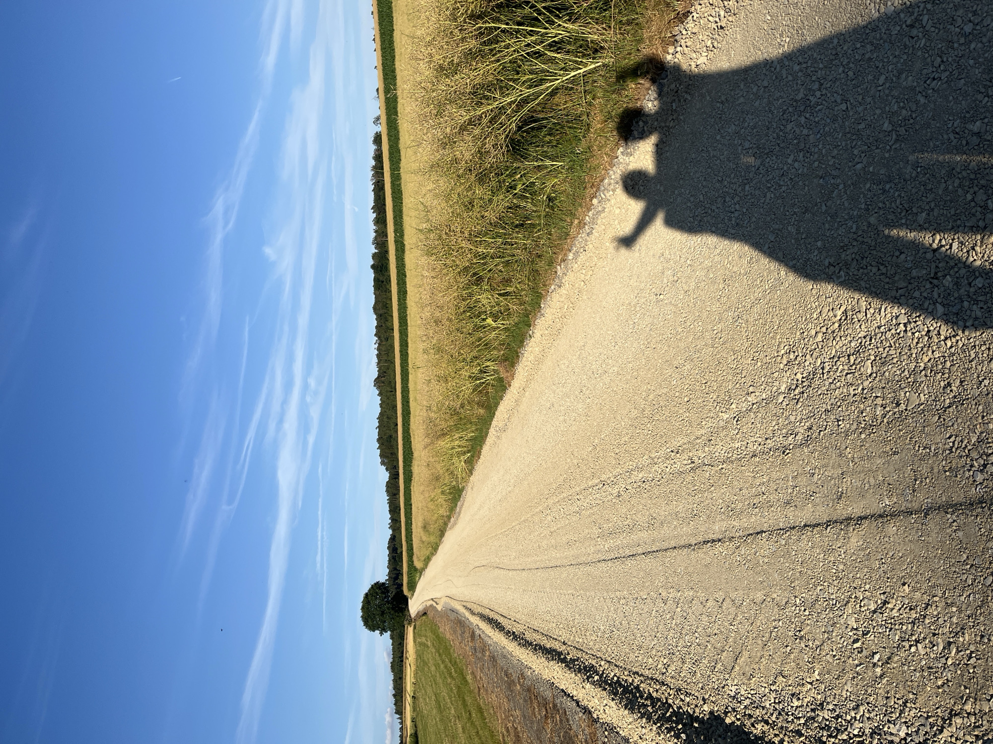 A gravel road, bathed in sunlight, stretches into the distance, flanked by fields of tall, dry grass on the right and a mown field on the left. The road curves gently towards a solitary, leafy tree silhouetted against a bright blue sky adorned with wispy white clouds. In the foreground, the shadows of two people are cast upon the road. One shadow is raised as if waving or pointing, while the other is slightly to the right. The shadows suggest a sunny day with the sun positioned behind the individuals. The environment is rural, likely agricultural, and appears to be located in the outskirts of Neustadt, Germany, given the landscape of fields and the distinct German agricultural feel. The shadows are the only indication of human presence in this serene, natural setting.