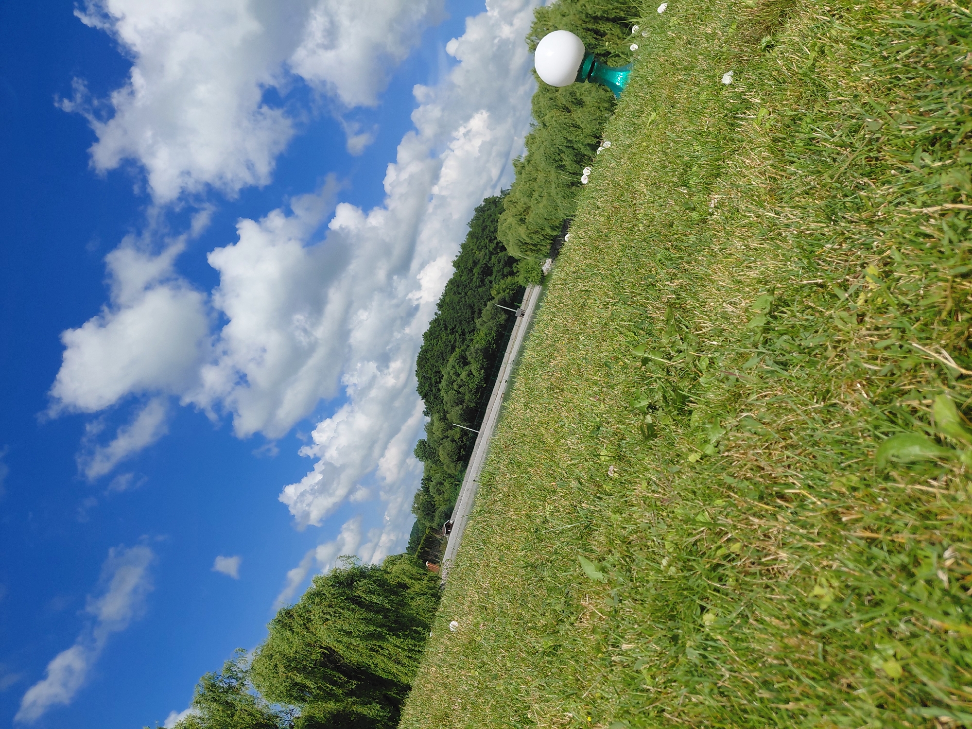 The image captures a bright, sunny day with a vibrant blue sky dotted with fluffy white clouds. The foreground is dominated by a lush green lawn, angled towards the viewer, with various blades of grass and some small white flowers visible. In the mid-ground, a paved pathway or road runs horizontally across the frame, bordered by dense, verdant trees. Beyond the pathway, more trees and foliage form a backdrop. To the right of the frame, a decorative garden light with a spherical white globe sits on a green base, partially obscuring the line of trees. A few similar, smaller lights are scattered on the lawn further back. The overall impression is that of a well-maintained park or recreational area.