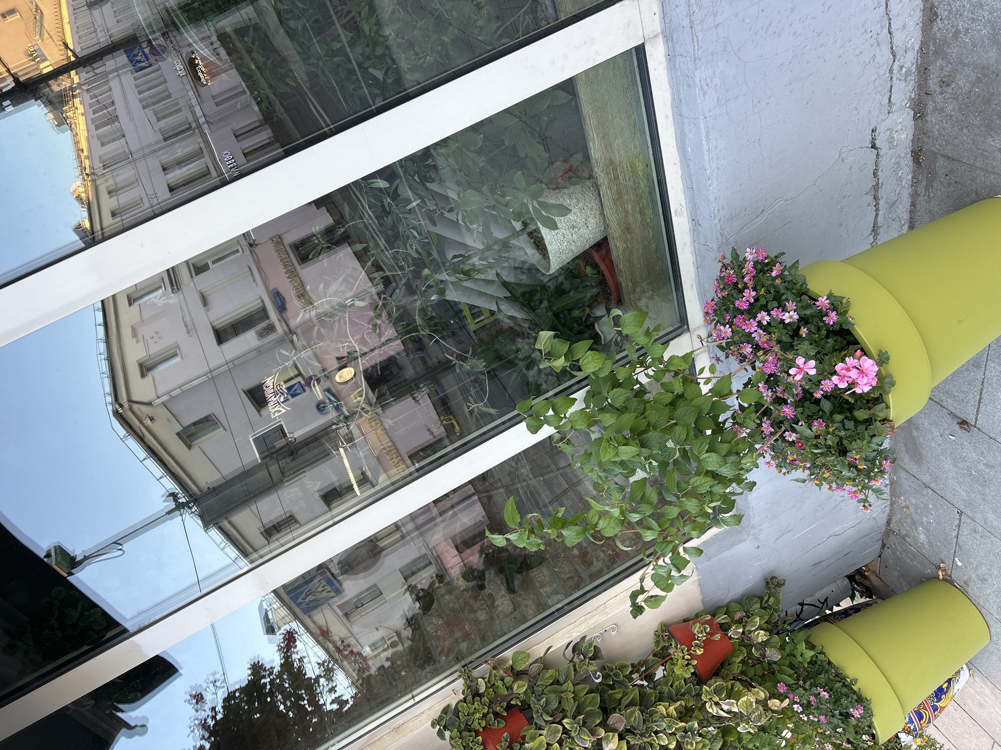 The image shows a street-level view of a building facade with large windows, reflecting the opposite side of the street. In the foreground, there are two large, lime-green planters containing flowering plants. The planter on the left is filled with trailing green foliage and some small red pots. The planter on the right is overflowing with pink and purple flowers. To the left of the planters, a wall with ivy and red pots is visible. The ground is paved with gray square tiles. The reflection in the window shows buildings, a street sign with a pedestrian crossing symbol, and a blue sky. The buildings in the reflection appear to be old, with multiple windows. One sign in the reflection reads "EXTRAVIRGIN". The scene is an outdoor urban environment.