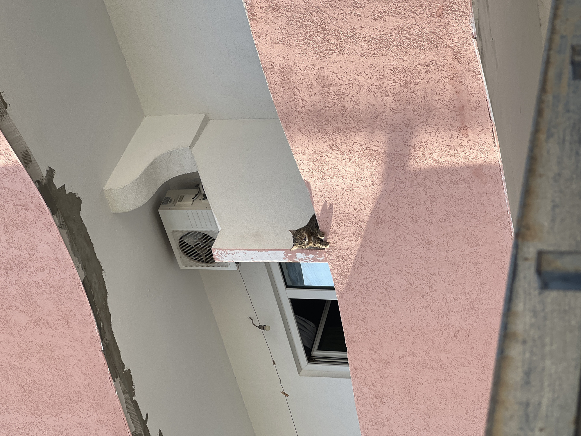 The image presents a striking upward view of an architectural space, likely an inner courtyard or a narrow passage between buildings in Budva, Montenegro. The central subject is a tabby cat, characterized by its brown and black striped fur, comfortably resting on a narrow white ledge. The cat appears calm and is partially curled, observing its surroundings.
The architecture features prominently, with contrasting textures and colors. A large, textured pink wall, possibly stucco or rough plaster, dominates the right side of the frame, displaying sunlit areas and distinct shadows. Adjacent to this, smooth white walls form various structural elements, including an arch-like support and ledges. Mounted on one of these white walls, beneath the cat's perch, is an outdoor air conditioning unit with its fan clearly visible. Below the cat and to the right of the air conditioner, a window with dark panes is partially visible.
The scene is brightly lit by natural sunlight, casting clear shadows and indicating a sunny daytime setting. Some areas of the white walls show exposed mesh and rough, grey plaster, suggesting that parts of the building might be under construction, undergoing renovation, or displaying an unfinished aesthetic. Loose electrical wires, one with a small light bulb attached, hang diagonally in the lower-left quadrant, adding a utilitarian detail. No visible text is present in the media.