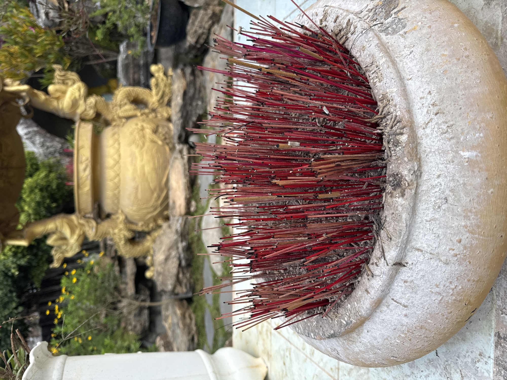 A tan ceramic pot, filled with red incense sticks, sits in front of a golden dragon statue in Lâm Viên - Đà Lạt, Vietnam. The pot is round with a raised lip. The sticks fill the pot, their red color contrasting with the neutral tone of the container. The golden dragon statue stands on a rock formation, partially obscured by greenery.
