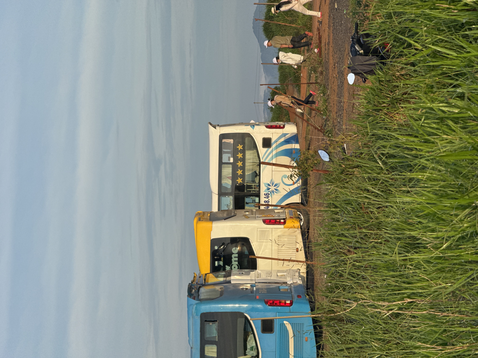 The image depicts an outdoor scene with three buses parked in a dusty area. The bus on the left is blue, the middle bus is white with a yellow top, and the bus on the right is white. Several people are walking or standing near the buses. One person, wearing a light brown jacket and a white hat, is seen bending down. Another person in a white hoodie and white hat is walking, and a third person in a green shirt and white hat is also walking. A fourth person, wearing a straw hat and white pants, is walking away from the buses. The ground is dirt, with patches of tall green grass in the foreground. In the background, there are rolling hills or mountains under a hazy sky with scattered clouds. The scene appears to be a roadside or a parking area, possibly in a rural or semi-rural setting in or near Phát Chi, Vietnam. There is also a parked motorcycle visible in the tall grass on the right side of the image.