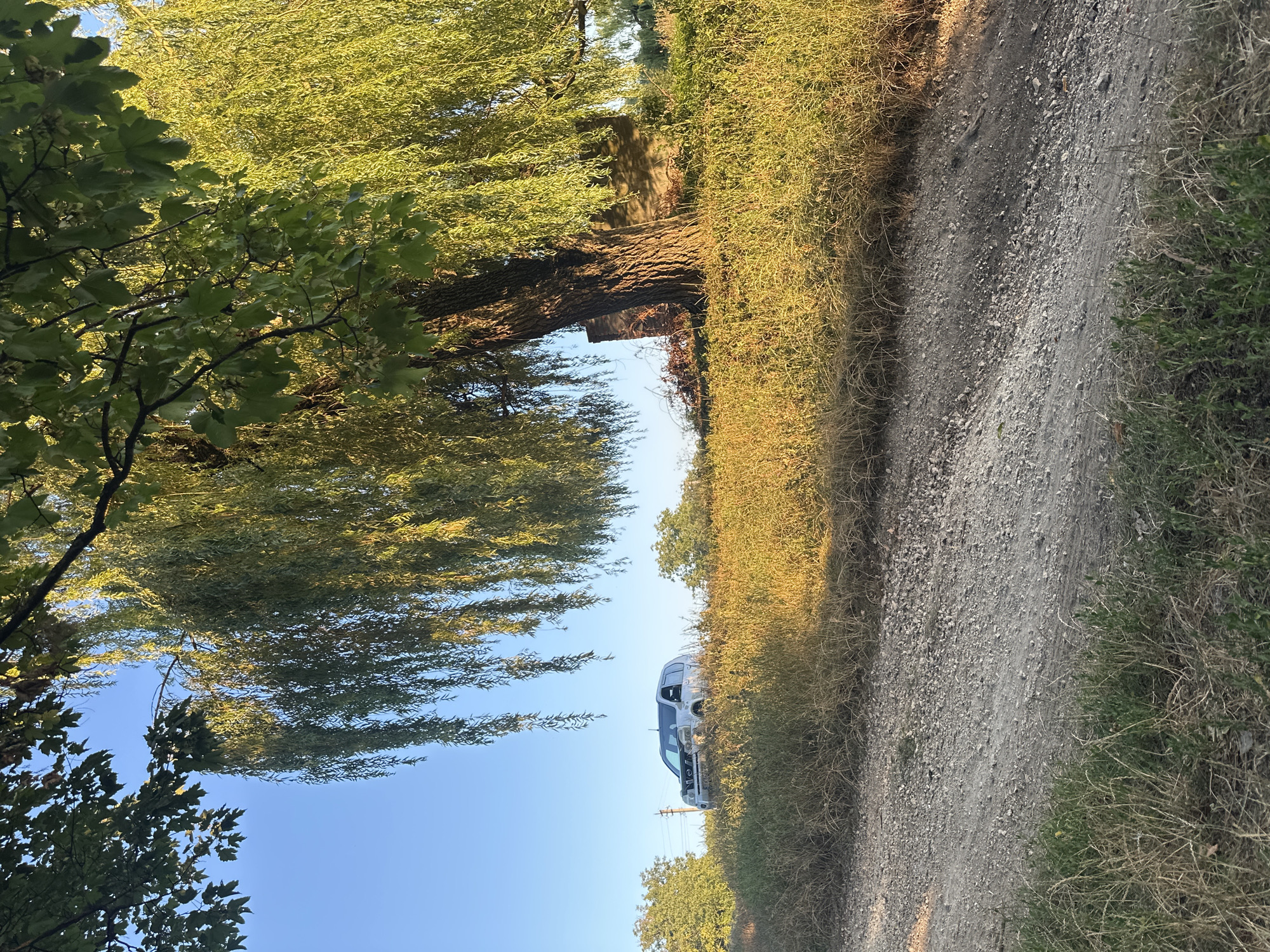 An exterior, eye-level, medium shot captures a rural scene in Makiv, Ukraine, under a clear blue sky. A light-colored SUV is parked on a grassy incline to the left of a dirt road in the foreground. The road is composed of gravel and dirt, with dry grass and weeds lining its edges. A large tree with weeping branches, illuminated by sunlight, dominates the right side of the frame, casting shadows on an old brick structure behind it. The grass on the incline is dry and golden, suggesting late summer or early autumn. The background features more trees and a clear sky.