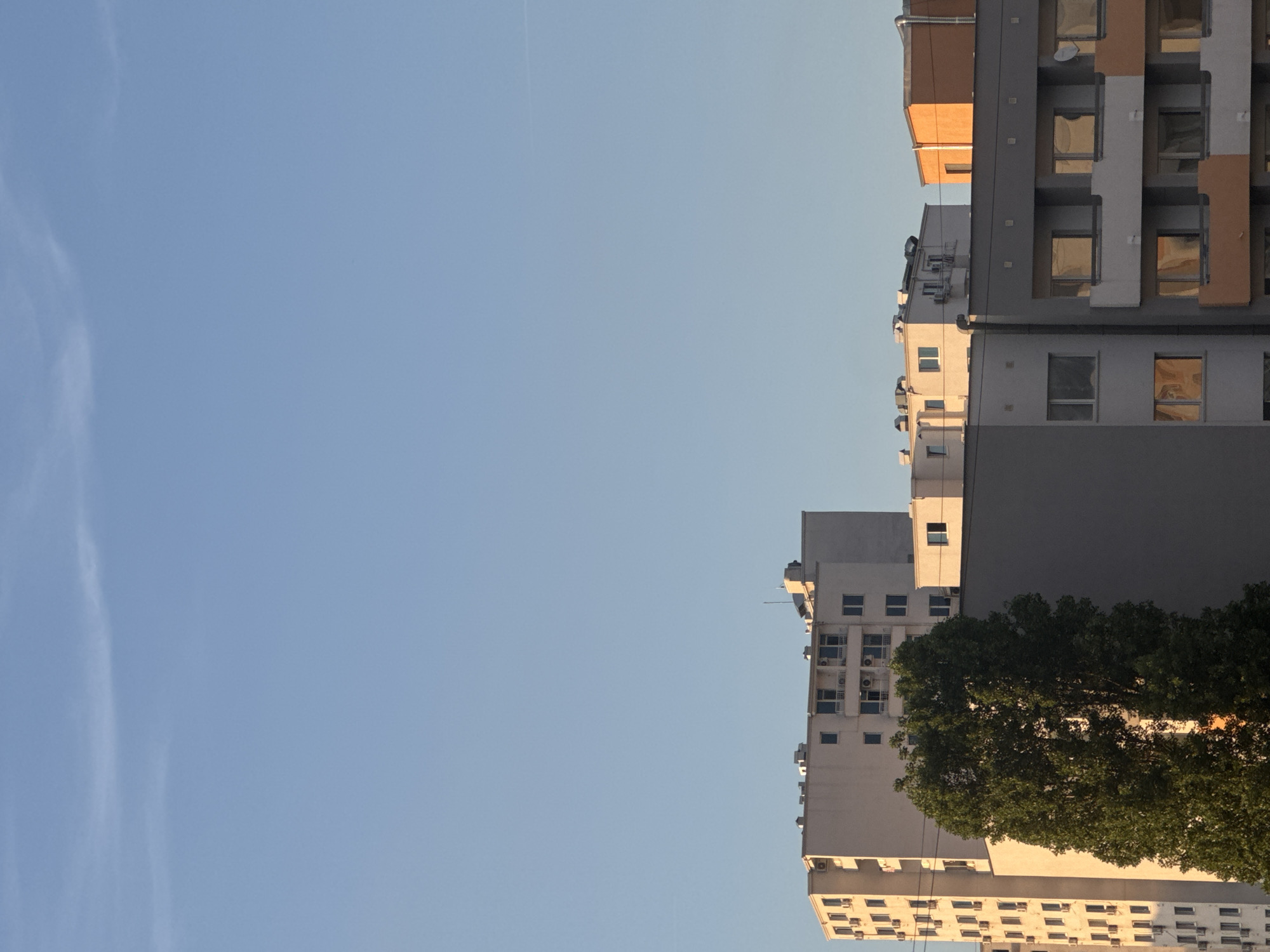 This is an outdoor, eye-level, medium shot of several apartment buildings in Sofia, Bulgaria, bathed in the warm light of a setting sun. The sky is a clear, pale blue, with faint white wisps of clouds and a distant contrail.
In the foreground, a large, dense green tree with a thick trunk dominates the left side of the frame, its leaves catching the golden light. Behind the tree, a tall, white apartment building with numerous windows and air conditioning units is visible. To its right, a shorter, cream-colored building with a similar facade is present.
Further back and to the right, a group of buildings features a mix of architectural styles. One is a flat-roofed, off-white structure with visible air conditioning units. Adjacent to it is a building with grey and white facades, featuring balconies with light orange trim and reflective windows. On the far right, a bright orange building with a flat roof stands out.
The scene depicts a residential urban environment in Sofia, Bulgaria, under a serene sky. There are no people or animals visible in the image. The overall atmosphere is one of quiet residential life at the end of the day.