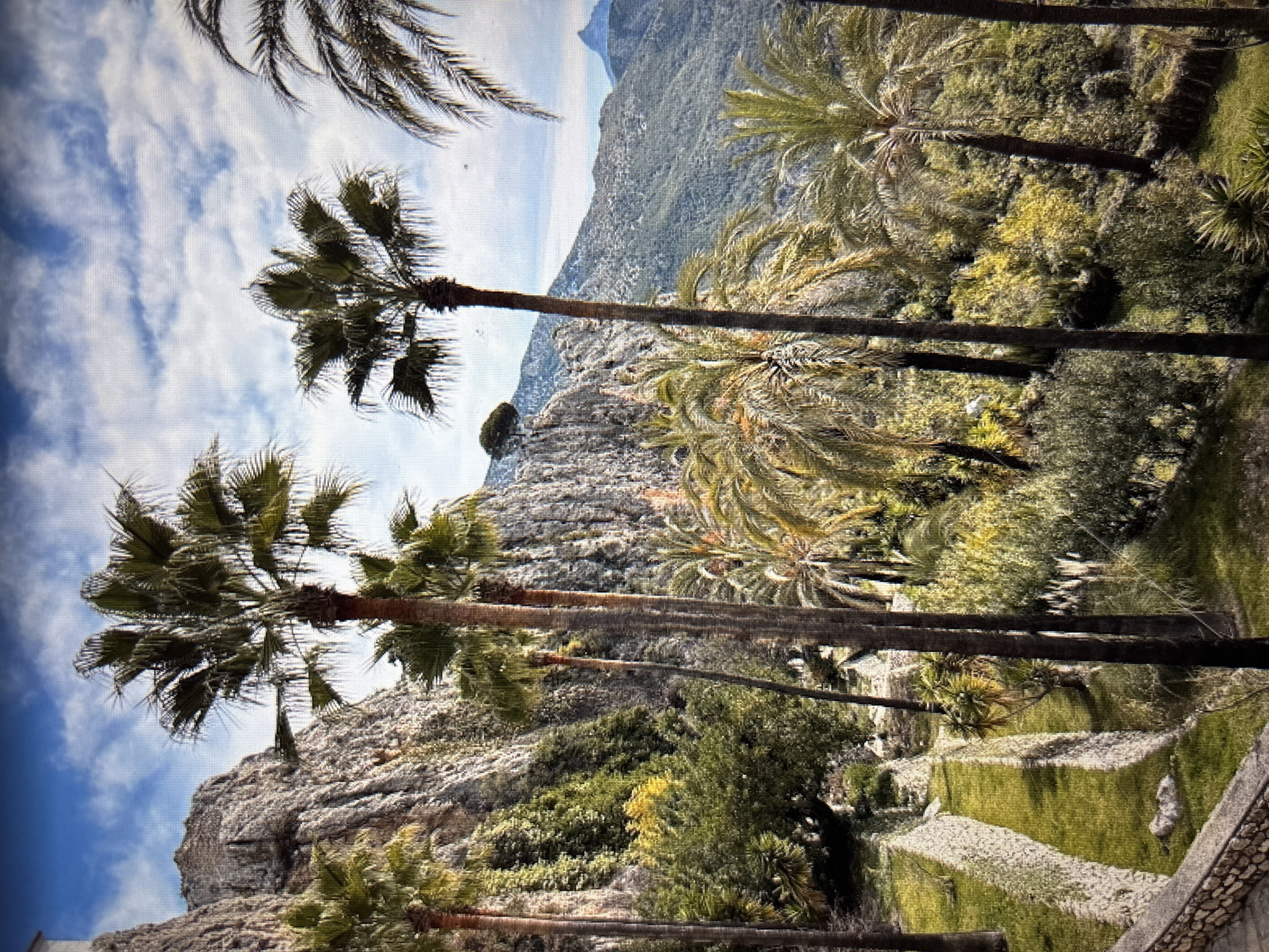 This image depicts a lush, mountainous landscape with numerous palm trees in the foreground. The terrain slopes downwards, with terraced sections of green grass bordered by stone walls. The background features rocky mountainsides covered with vegetation, and further in the distance, rolling hills and a hazy blue sky with scattered clouds. The scene conveys a sense of a Mediterranean or tropical climate. The description of this image does not include any information about the city of Sofia, Bulgaria.