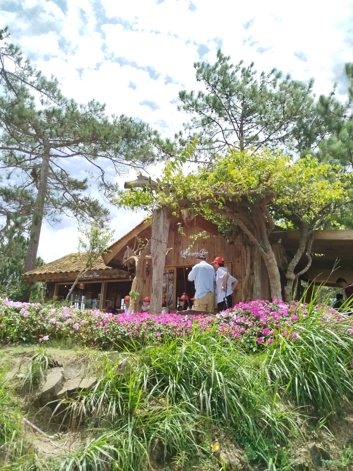The image depicts a charming wooden cafe situated amidst lush greenery and vibrant pink flowers. Two men, one in a light blue shirt and khaki shorts and the other in a white shirt and red cap, are standing near the entrance of the cafe, engaged in conversation. A woman in a red cap is seated inside the cafe. The cafe's rustic wooden architecture, with its tiled roof and large windows, blends seamlessly with the natural surroundings. Tall pine trees tower over the scene, providing a scenic backdrop. The foreground is filled with a dense array of green grass and rocks, suggesting a natural, untamed environment. The sky above is partly cloudy, with scattered white clouds against a bright blue canvas. The overall atmosphere is peaceful and inviting, evoking a sense of a serene getaway. The cafe's signage, visible on the building, reads "Tho Cao Pao."
