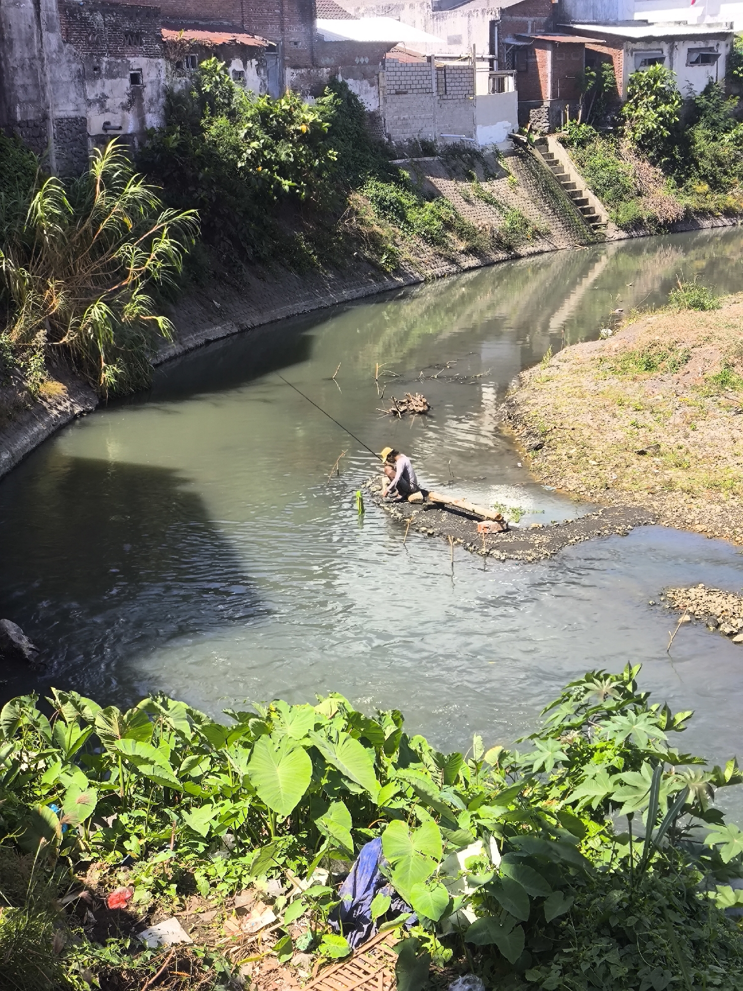 An aerial view captures a section of the Lumajang River in Lumajang, Indonesia, on a sunny day. The river, appearing somewhat murky, flows between concrete-lined banks and a natural, vegetated embankment. On the right side of the river, a person is fishing from a small, muddy island. They are wearing a hat and appear to be actively engaged in fishing. The surrounding environment showcases dense green vegetation and some scattered debris along the riverbanks, suggesting an urban or semi-urban setting. Buildings are visible in the background, some appearing weathered and aged, with red-tiled roofs. The scene is characterized by the interplay of water, lush greenery, human activity, and the urban infrastructure.