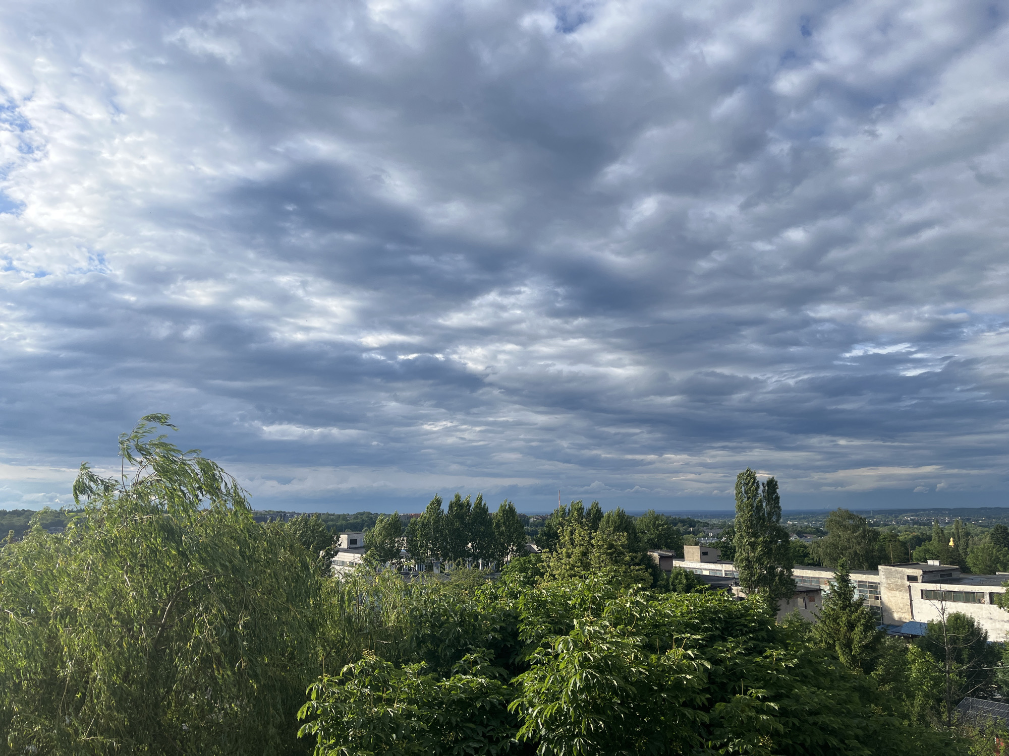 An outdoor, elevated, wide shot depicts a cloudy sky above a dense canopy of green trees and the rooftops of buildings in the city of Unknown, Unknown. The sky is filled with a dramatic array of gray and white clouds, with streaks of blue peeking through in some areas. In the foreground, a large weeping willow tree dominates the left side of the frame, its branches swaying in the wind. Behind the trees, buildings with white and beige facades are visible, some with flat roofs and multiple windows. The overall impression is one of a verdant urban landscape under a dynamic sky.