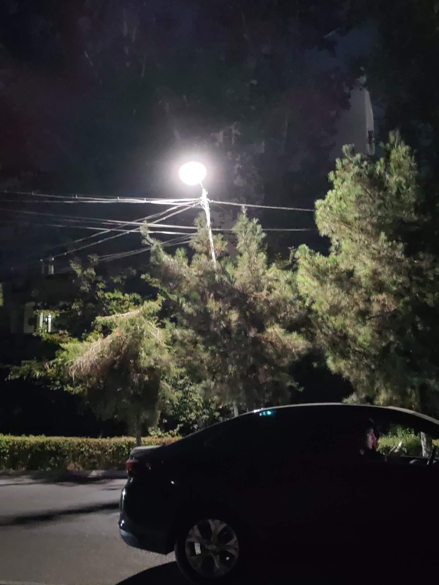 A dark, four-door sedan is parked on a paved road at night. The car is seen from the side, with the rear section and a portion of the driver's side visible. The driver, a person of indeterminate gender, is visible in the driver's seat, illuminated by an interior light. Trees, their branches silhouetted against the night sky, surround the vehicle. A streetlamp is visible in the background, casting a bright light. In the distance, the lights of a building can be seen. The scene appears to be a residential area, possibly a street in Tashkent, Uzbekistan.