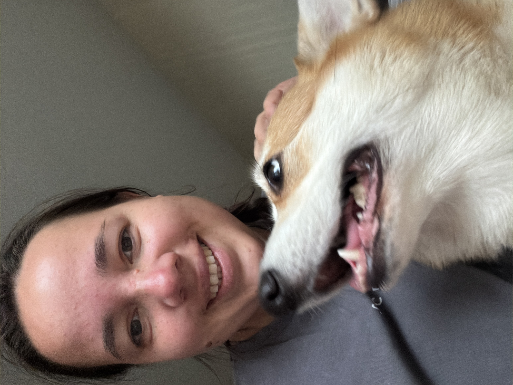 The image shows a close-up selfie of a person and a dog. The person, in the foreground on the left, is smiling and looking at the camera. Their face is partially obscured by the dog, which is positioned to the right and slightly in front of them. The dog's head is turned upwards and to the side, with its mouth open, revealing its teeth and tongue. The person is wearing a grey t-shirt. The background is a plain, neutral-colored wall. There are no visible landmarks or indications of the city of Chaikovsky, Russia, or any other specific location.