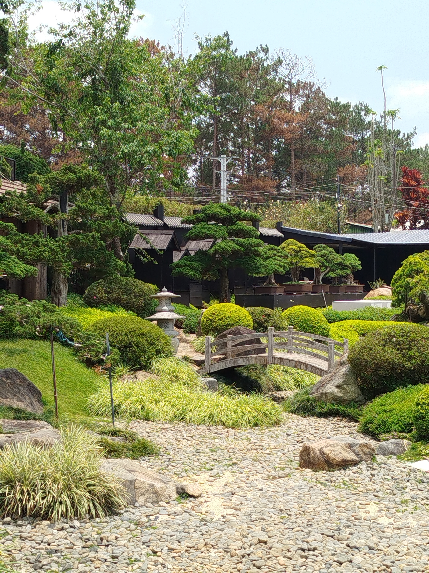 The image depicts a Japanese-style garden in Cam Ly - Đà Lạt, Vietnam. A small, arched wooden bridge spans a dry creek bed filled with pebbles and larger stones. Lush greenery surrounds the bridge, including manicured shrubs, various grasses, and bonsai trees in pots. A stone lantern stands near the bridge on a grassy hill. In the background, there is a building with a dark roof and a collection of trees. The sky is visible above the trees, with a few clouds.