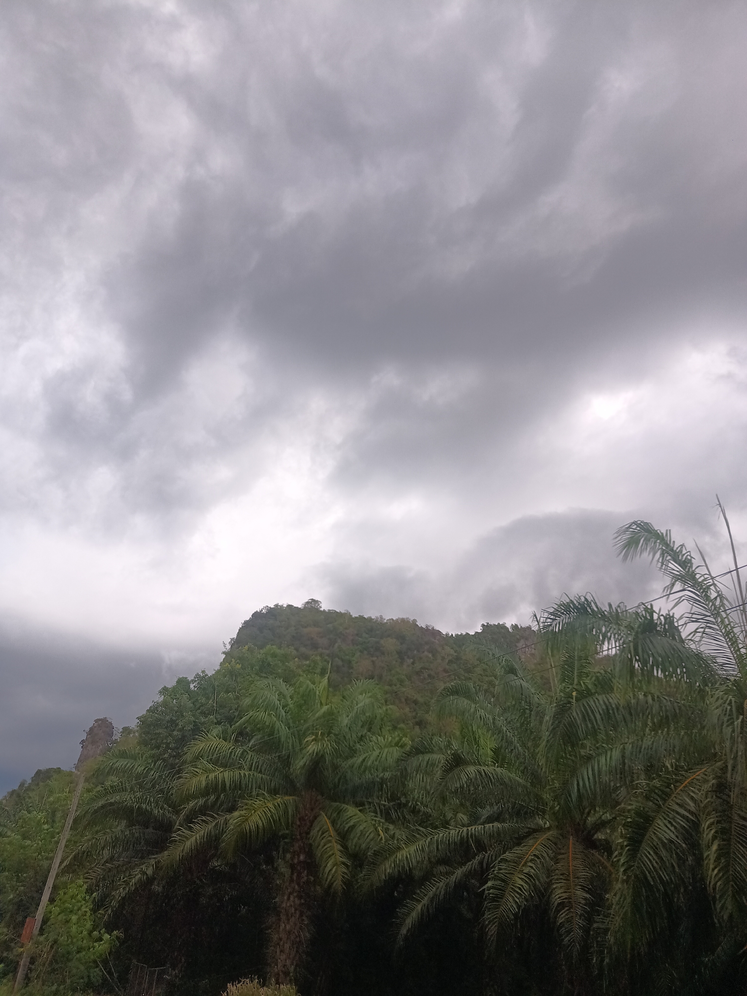 The image depicts a cloudy sky over a landscape in Pak Phraek, Thailand. The sky is filled with dark gray clouds, indicating a potentially overcast or stormy weather. In the middle ground, a hill or small mountain covered in green vegetation is visible. Palm trees dominate the foreground, adding a tropical element to the scene. The lighting appears diffused due to the cloud cover. A few electrical poles are also visible.