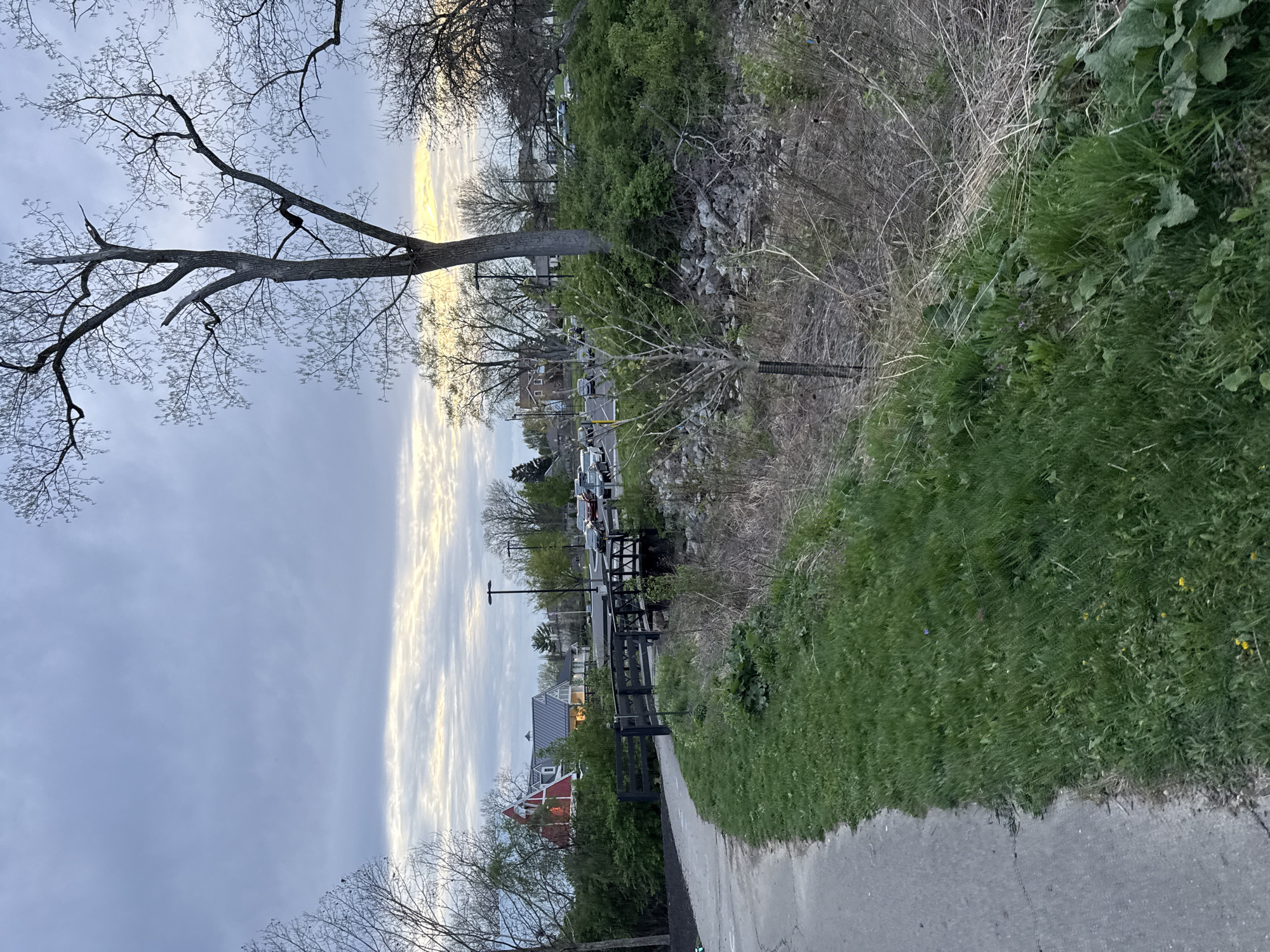 The image depicts a sidewalk in Grove City, Ohio, adjacent to a grassy area and a fence. Beyond the fence, there is a view of buildings and vehicles, suggesting a residential or commercial area. The sky is overcast with some patches of light. Bare trees are visible on both sides of the frame. The overall environment suggests a suburban setting near a park or walkway.