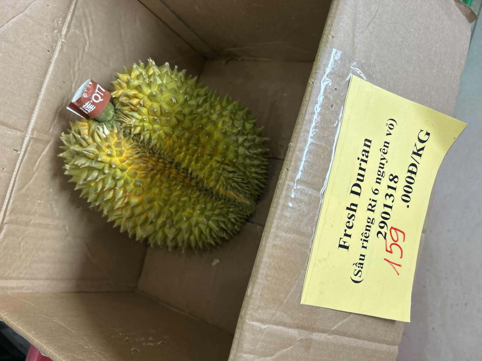 A cardboard box contains a single durian fruit, with a label "Fresh Durian" (Sầu riêng Ri 6 nguyên vỏ) 2901318 159.000Đ/KG. A small paper tag "莲Q11" is attached to the stem of the fruit. The scene appears to be set indoors in Bắc Nha Trang, Vietnam.