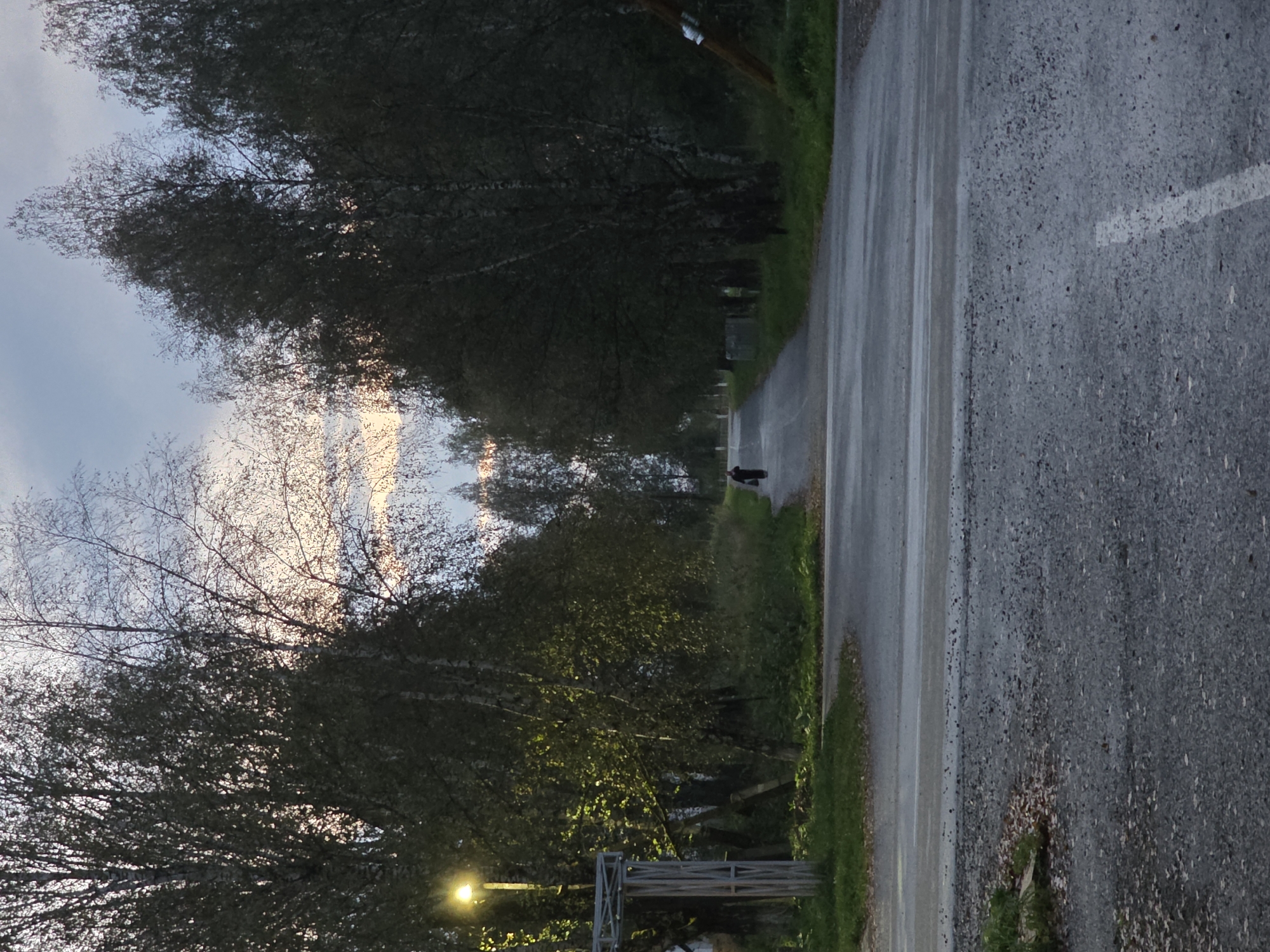 The image depicts a person walking away from the camera on a wet asphalt road lined with trees. The scene appears to be in a semi-rural or suburban area, with a lamppost visible on the left side of the road and a structure that could be a bus stop or shelter. The sky is overcast with some hints of sunset colors. The road surface shows evidence of recent rain. The person is wearing dark clothing and carrying a bag. The environment is natural with trees and foliage alongside the road. The overall mood is somber and quiet, consistent with the fading light of dusk. There is no indication or information within the image to suggest the location is specifically in the city of Magnitka, Russia.