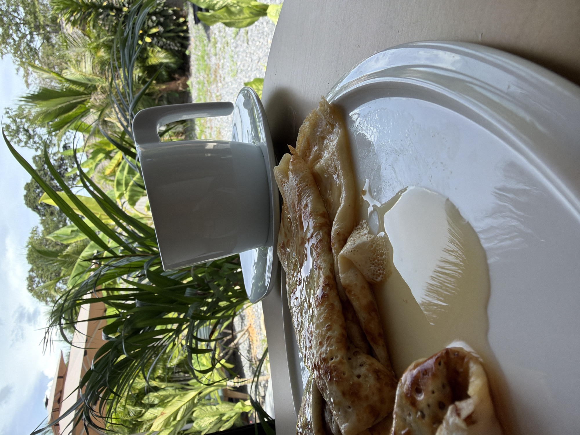 A close-up shot features a breakfast of crepes drizzled with honey on a white plate. The crepes are folded and appear light and airy. Next to the plate, a white coffee cup sits on its saucer. The setting suggests an outdoor dining area, with lush green tropical foliage visible in the background. Palm fronds and other verdant leaves create a vibrant, natural backdrop. In the distance, a beige building with a sloped roof is partially obscured by the greenery, and a gravel pathway is also visible. The lighting suggests it's daytime, possibly morning, given the breakfast context. The overall atmosphere is serene and leisurely, evoking a sense of relaxation in a tropical environment.