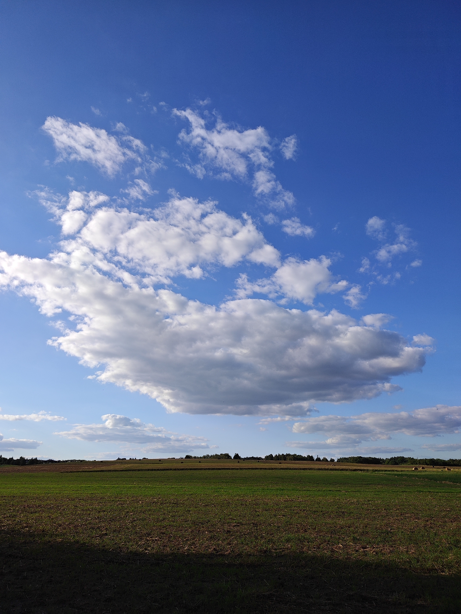 The image captures a broad view of a rural landscape under a vibrant blue sky dotted with white and gray clouds. The foreground is dominated by a dark, shadowy field, possibly a plowed field or a field covered in stubble, casting a long shadow across the lower portion of the frame. Beyond this, a large expanse of green grass stretches towards a distant tree line. The horizon is marked by a band of trees, interspersed with some smaller structures, and in the far right, several round hay bales are visible in the field, suggesting agricultural activity. The sky is a prominent feature, with large, fluffy white clouds contrasting against the deep blue, and a more ominous, darker cloud formation hanging lower in the sky. The scene is likely located in the outskirts of Poznan, Poland, given its agricultural character and open fields. There are no people or visible animals in the frame.