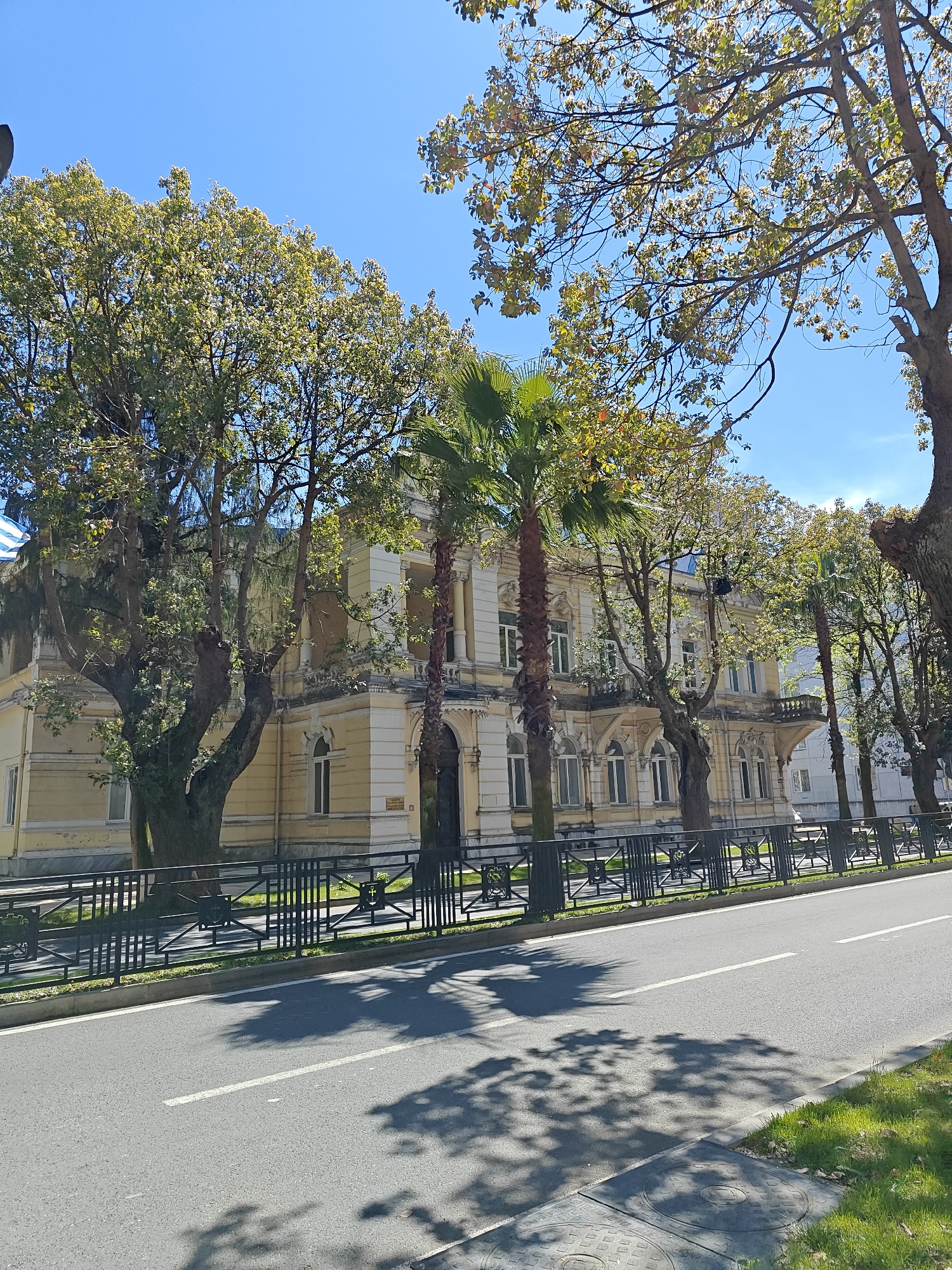 This image depicts a vibrant street scene in Batumi, Georgia, on a clear and sunny day. The prominent feature is a grand, multi-story building with a light yellow facade and white architectural details, hinting at classical or historic European influences. The building showcases numerous windows, some arched on the ground floor, and others rectangular on the upper levels, many framed with decorative elements. Balconies with intricate railings and classical columns or pilasters further enhance its elegant appearance.
In front of the building, a dense canopy of trees with lush green foliage provides shade, interspersed with several tall, slender palm trees characteristic of the coastal city. These trees cast distinct, crisp shadows onto the asphalt road in the foreground, indicating bright sunlight, likely during mid-morning or afternoon. The road itself is clean with visible white lane markings.
A decorative black metal fence with ornate patterns runs along the edge of the road, separating it from the grassy grounds of the building. Beyond the fence, patches of green grass are visible. The sky above is a brilliant, cloudless blue. The overall scene conveys a sense of tranquility and grandeur, typical of a well-preserved historic urban area in a warm climate. A small, unreadable plaque or sign is visible on the building's exterior near the entrance.