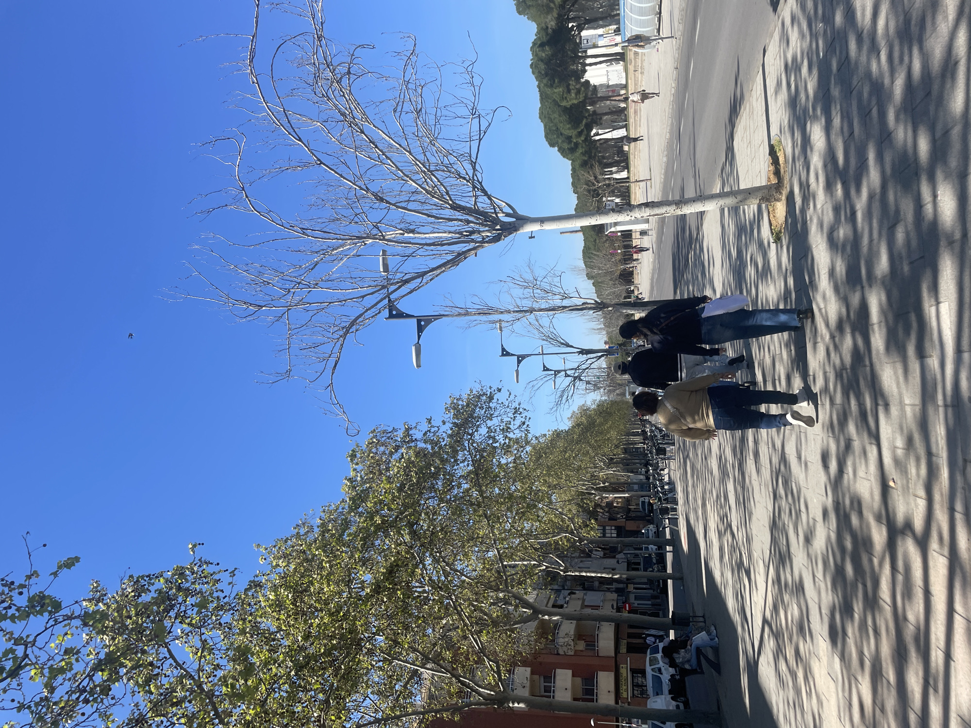 The image shows an outdoor scene in Sant Adrià de Besòs, Spain. A wide sidewalk with light-colored paving stones runs parallel to a multi-lane road. The sidewalk is shaded by the silhouettes of trees, indicating a sunny day. Several people are walking on the sidewalk, appearing in casual attire.
Along the side of the sidewalk, a line of trees stretches into the distance. The trees closest to the viewer have green leaves, while others further away are bare. Streetlights are positioned along the sidewalk.
On the opposite side of the road, there is a row of trees and some buildings. Vehicles are parked on the side of the road. The sky is clear and blue.
