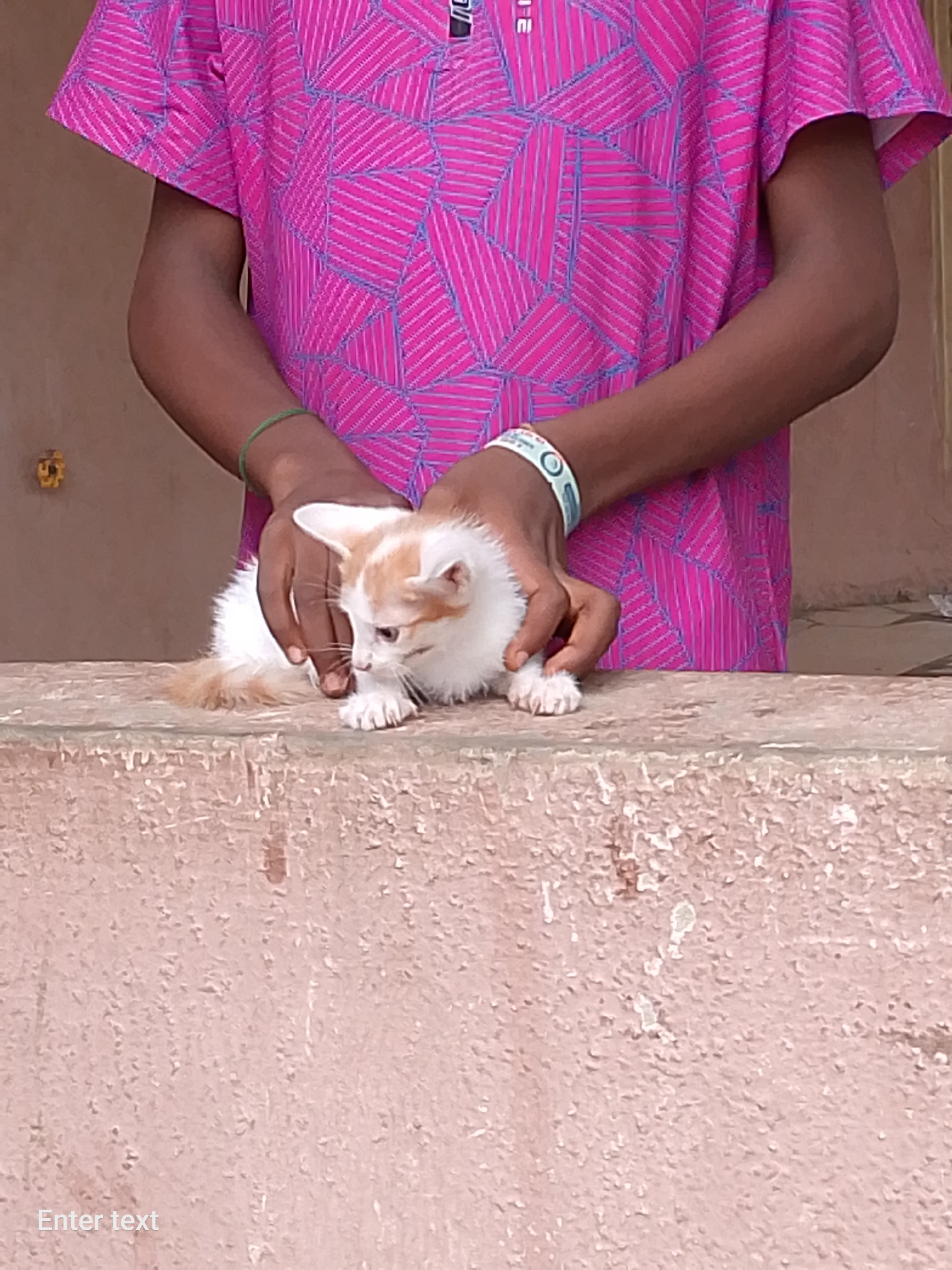 A person in a pink patterned shirt is holding a white and orange kitten on a weathered, pinkish-beige ledge. The person's hands are gently placed around the kitten. The background is out of focus, but suggests an interior setting. A yellow, flower-like object is partially visible on the wall behind the person. The city and specific location are unknown.