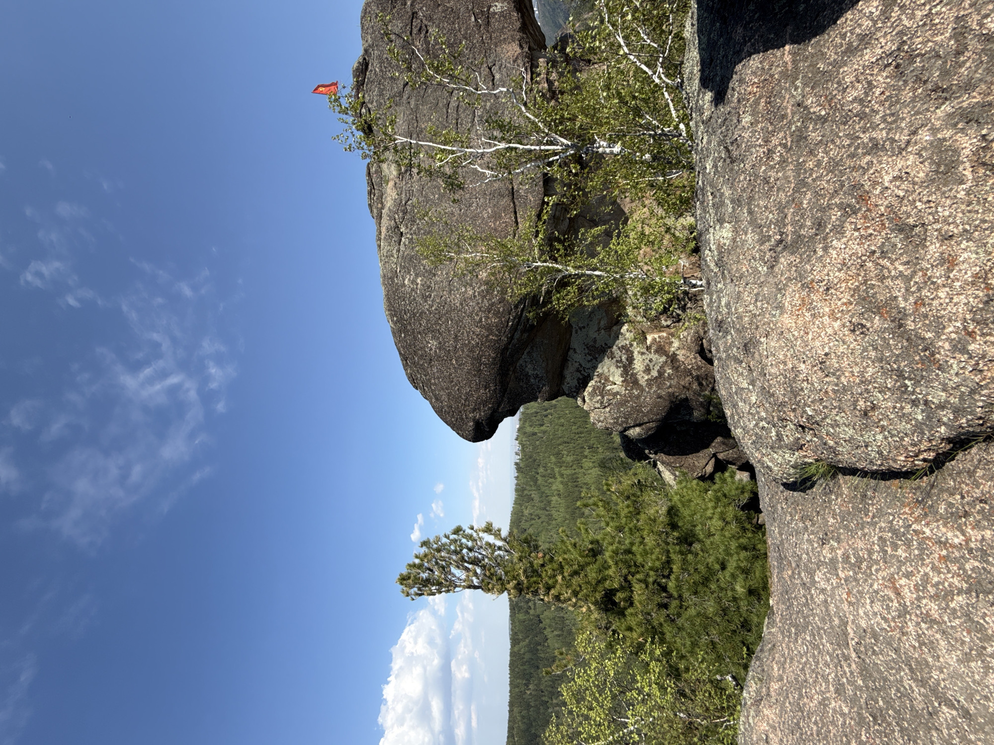 The image depicts a rocky outcrop, likely part of the Stolby Nature Reserve near Krasnoyarsk, Russia. The foreground is dominated by large, gray-brown rocks. A single birch tree with white bark grows from the rocks, with green foliage. A small, red flag is planted on top of one of the larger rocks. In the background, a dense forest stretches into the distance under a clear blue sky with scattered clouds. A lone pine tree grows in the mid-ground with foliage that stretches in the same direction. The perspective suggests the photo was taken from a low angle.