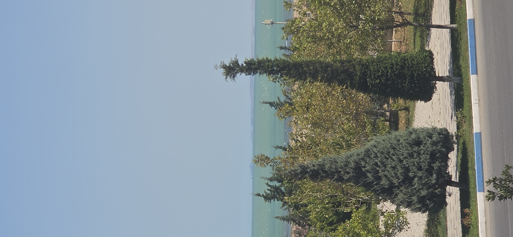 This is a vertical, eye-level, full-shot photograph taken on a sunny day, looking towards a body of water and a distant shoreline. In the foreground, a paved road is visible with a white and blue striped curb. Behind the curb, a strip of grass is present, with a small, leafy plant growing on the left side of the frame.
Further back, a paved walkway runs horizontally across the image, with a few trees planted alongside it. The most prominent trees are a large, conical dark green evergreen on the left and a tall, slender dark green evergreen in the center. To the right of these, there are several deciduous trees with green and yellowing leaves. In the background, a beach area with sand is visible, leading to a large body of water that appears to be a sea or ocean, with a calm, greenish-blue surface. In the far distance, along the horizon, a thin, hazy landmass is visible, suggesting a distant shoreline with some structures. The sky is a clear, light blue. The scene is likely located in a coastal area of Sumgayit, Azerbaijan, possibly a park or promenade area adjacent to the Caspian Sea. There are no people or animals visible in the frame.