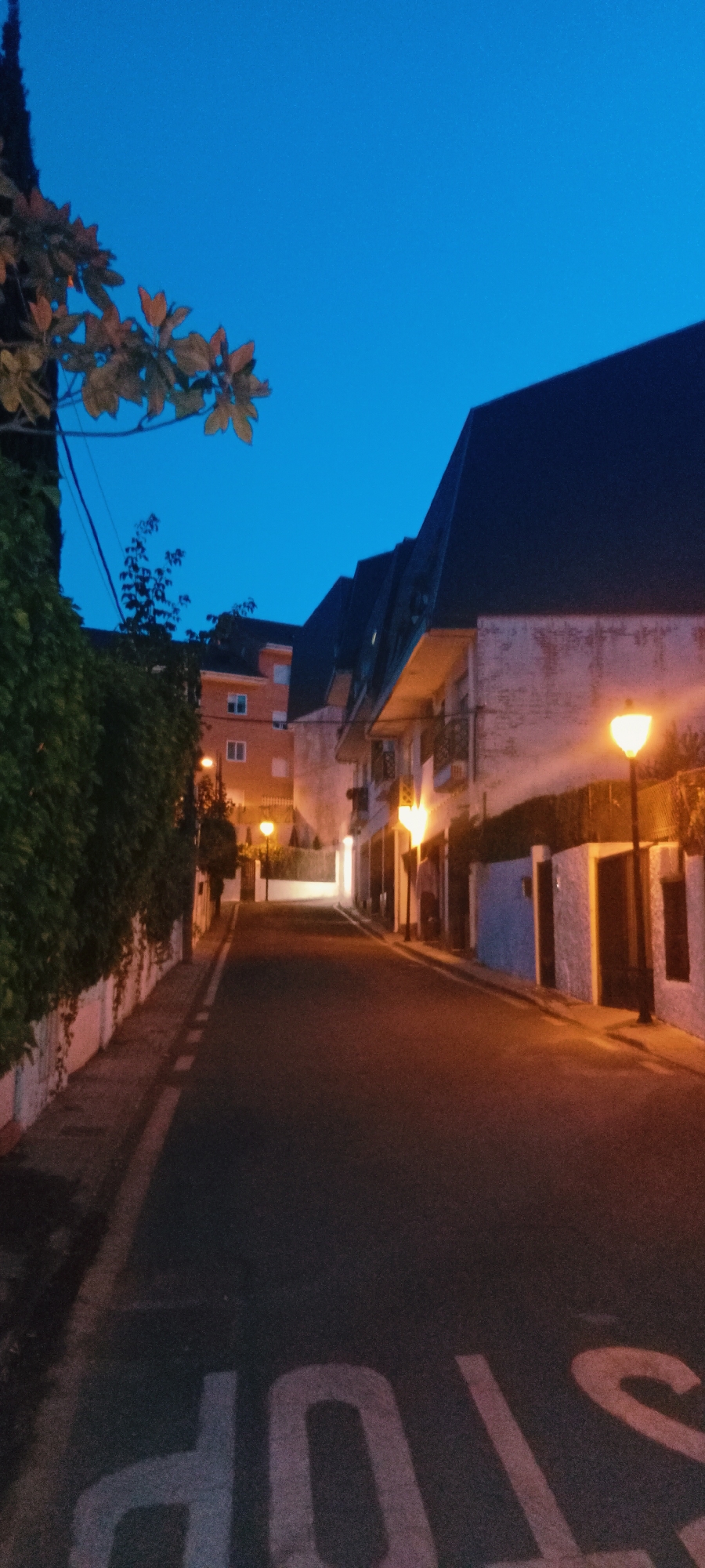The image shows a street scene at dusk in Galapagar, Spain. A dark blue sky looms above buildings with dark, sloped roofs and illuminated windows. Streetlights cast a warm orange glow on the asphalt road, which has a white painted "STOP" sign partially visible on the lower part of the image. On the left side of the road, a tall green hedge lines a white wall, and further up the street, there are more buildings with orange accents and balconies. A few trees with autumn-colored leaves are visible on the left, near the top of the image. The scene is quiet and appears to be a residential street.