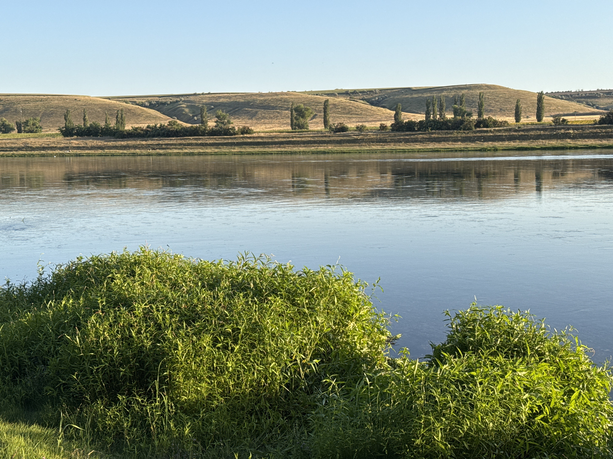 The image depicts a wide river with calm, reflective water, bordered by lush green vegetation in the foreground. In the background, rolling hills covered in dry, golden grass are visible under a clear, blue sky. A line of tall, slender trees and bushes runs along the base of the hills. The scene is one of natural tranquility. The specific location in the city of Grushka, Moldova, is not discernible from the visual information alone.
