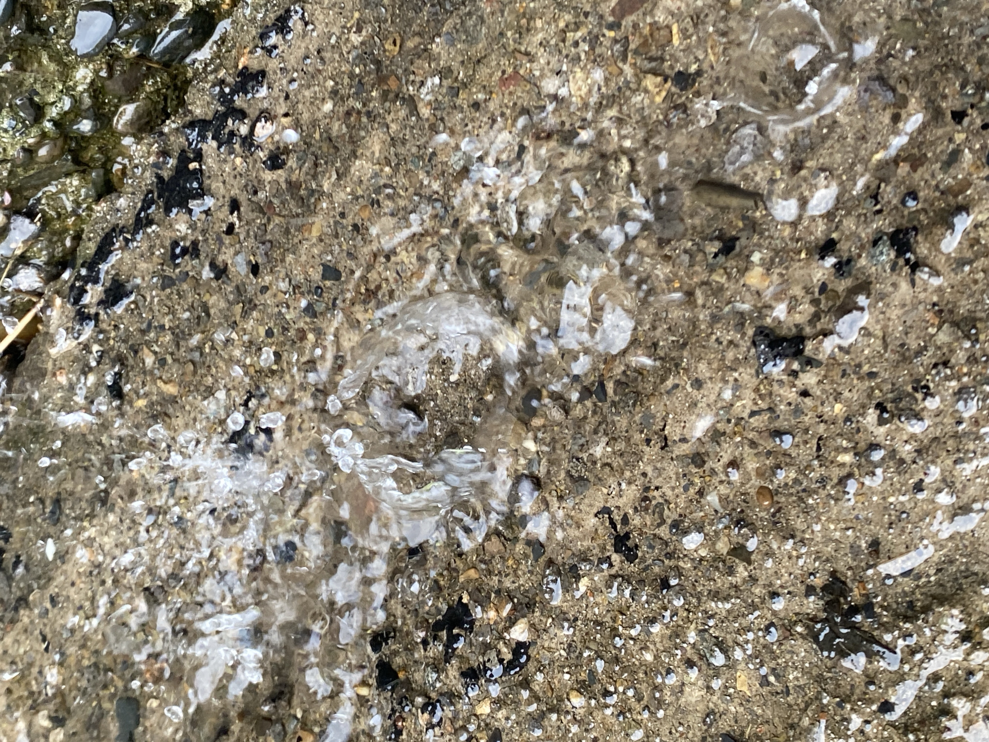 The image shows a close-up, overhead view of water flowing over a rough, concrete-like surface composed of aggregate and dark debris. The water is creating ripples and small splashes, with some areas appearing foamy or disturbed. The surface itself is textured and uneven, with small pebbles and dark, irregular patches. The lighting suggests it is daytime, with some glare on the wet surfaces. There are no people or animals visible in the frame. This scene is a generic urban surface and could be located in any city, including Novokuznetsk, Russia.