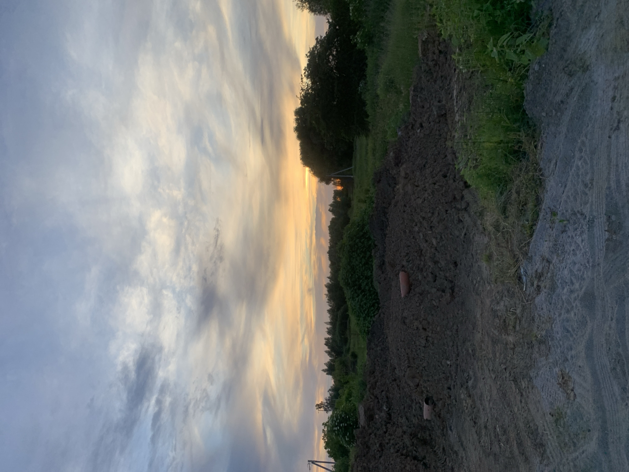 The image depicts an outdoor scene with a sunset sky above a landscape. In the foreground, there are piles of dark soil and sand, with some grass growing amongst them. Two orange pipes are visible protruding from the soil piles. Beyond the soil, a field of green grass and bushes extends towards a line of trees and foliage. Power lines and poles are visible in the distance on the left. The sky is filled with clouds, with hues of orange, yellow, and blue suggesting the sun is setting. The overall impression is of a rural or semi-rural area, possibly undergoing construction or landscaping, with a natural element of a sunset. The scene appears to be located in the city of Gvardeysk, Russia.