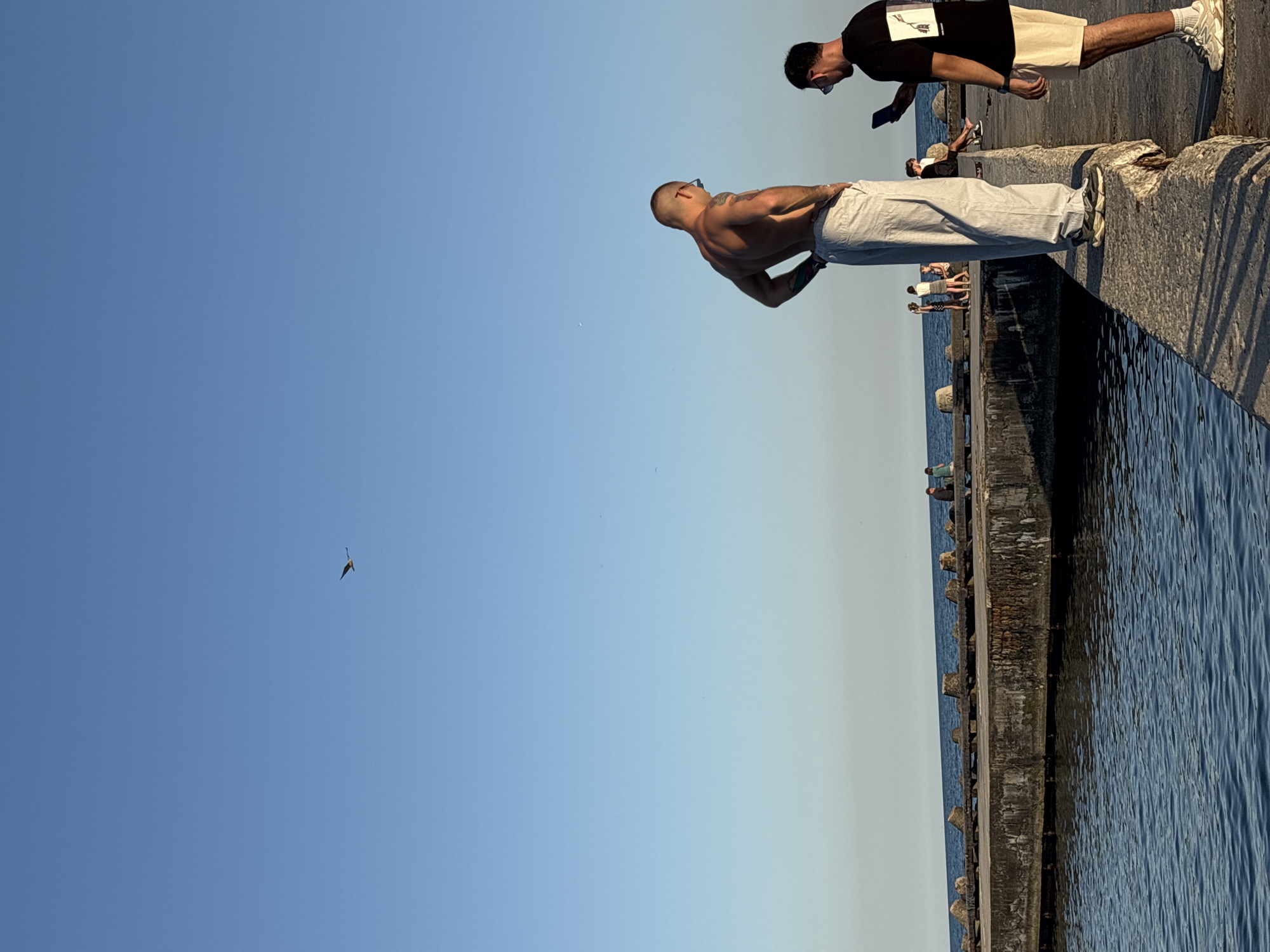 The image depicts a concrete pier extending into a body of dark blue water, likely the Black Sea. The pier is lined with concrete tetrapods or similar structures along its edge. The sky above is clear and a bright, pale blue, transitioning to a lighter hue near the horizon. A single bird is visible soaring in the distance against the blue sky.
On the pier, two men are the primary subjects. The man in the foreground on the right is wearing a black t-shirt with a graphic on the back, beige shorts, and white sneakers. He is holding a dark smartphone and appears to be looking at it or taking a picture. The second man, to his left and slightly further back, is shirtless, showing his muscular physique and tattoos on his left arm. He is wearing light-colored, wide-legged trousers and dark sneakers. He has his hands on his hips and is looking down.
Further along the pier, several other individuals are visible in the background, appearing as small figures. Some are seated, while others seem to be standing. The scene suggests a public area, possibly a promenade or a recreational spot in the city of Varna, Bulgaria, given the architectural style of the pier and the sea setting. The lighting indicates it is likely late afternoon or early evening, with the sun casting shadows.