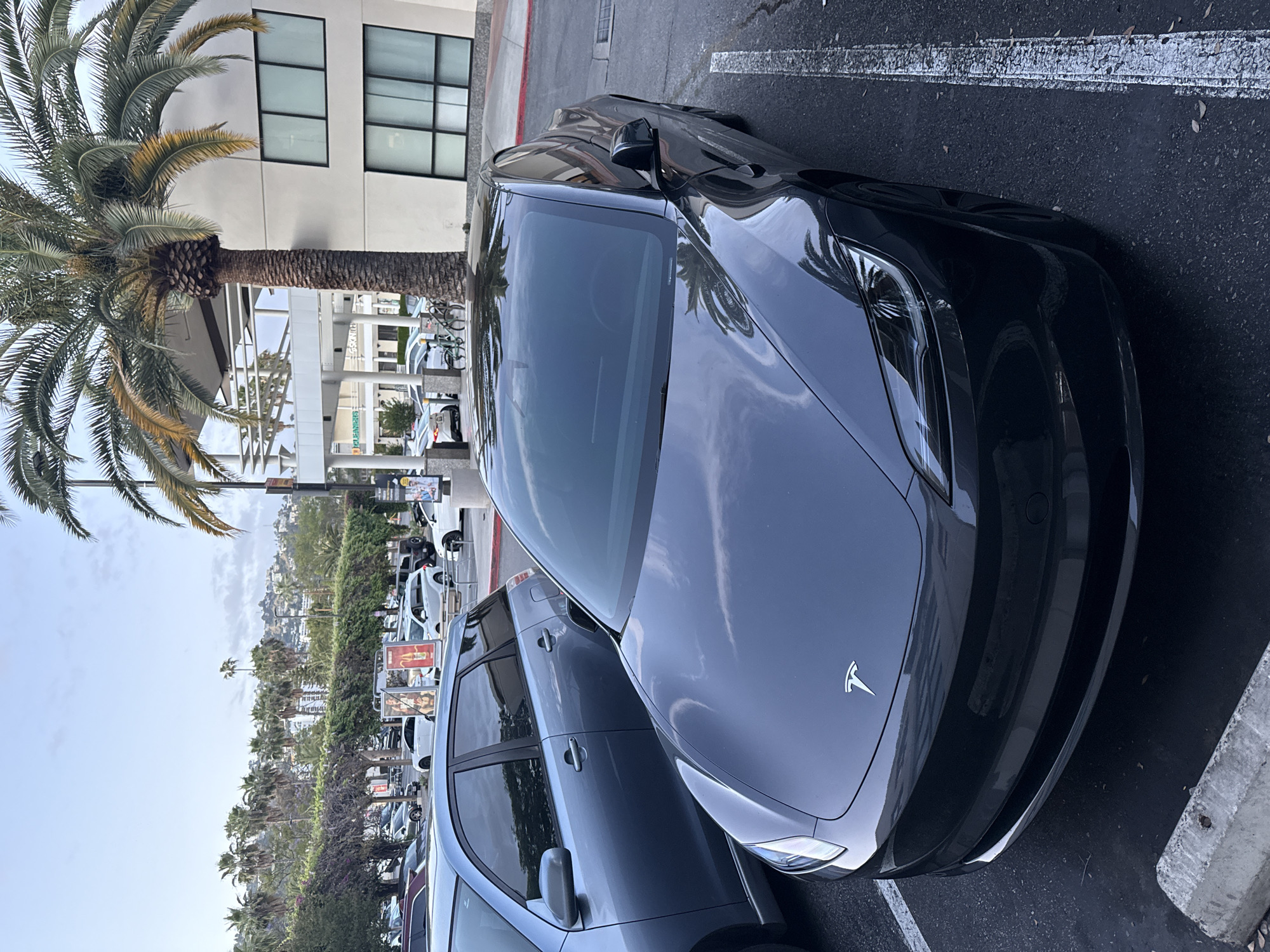 The image depicts a dark-colored Tesla car parked in a parking lot in West Hollywood, California. The vehicle is situated near a building and a palm tree is visible, adding to the urban landscape. Other parked cars can be seen in the background, along with advertisements and additional vegetation typical of the area.