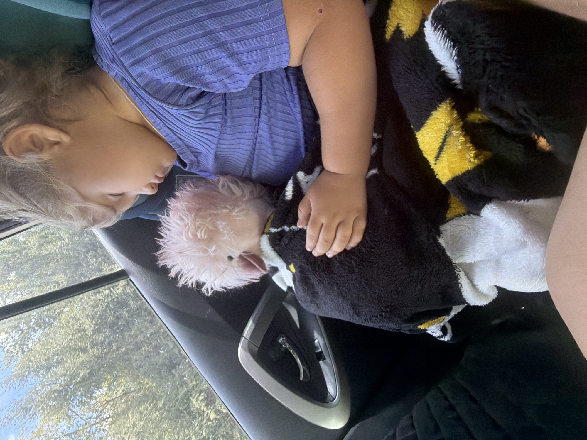 A young child sleeps in the backseat of a car, their head resting against a stuffed animal. The child is wearing a blue, ribbed t-shirt. A black and yellow blanket is draped over the child and the stuffed animal. The car's interior is visible, including the door handle and window. Outside the window, trees are visible against a blue sky. The image is cropped tightly, focusing on the child and their immediate surroundings. The location is identified as Nadezhdino, Russia, suggesting this scene is taking place within that city.