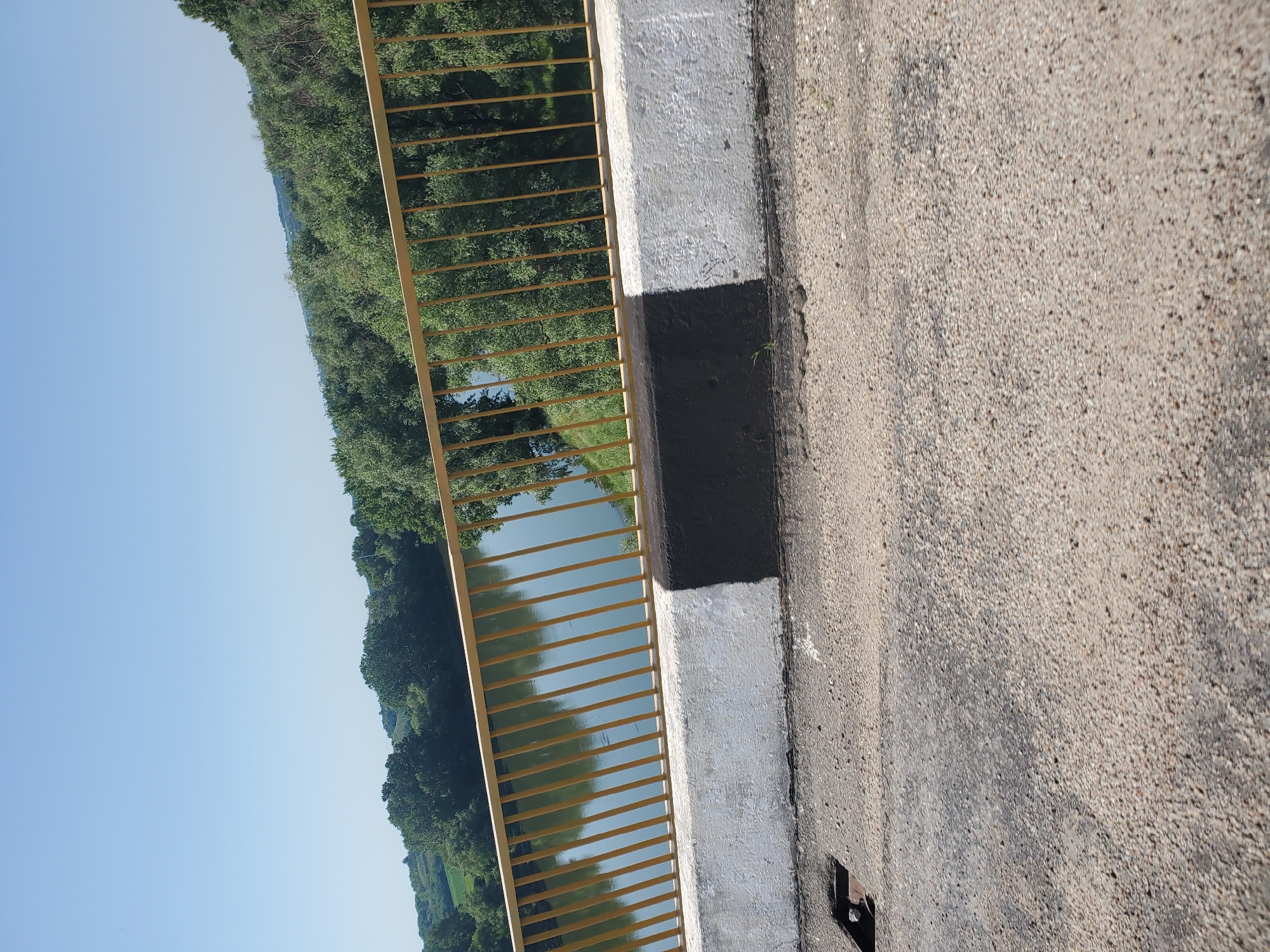 The image shows a view from a bridge overlooking a river and trees in Bychok, Moldova. The foreground features the asphalt surface of the bridge, a white and black painted concrete barrier, and a yellow railing. The river, reflecting the clear blue sky, flows through a landscape densely covered with green trees. The day is sunny with no visible people or specific landmarks other than the natural environment.