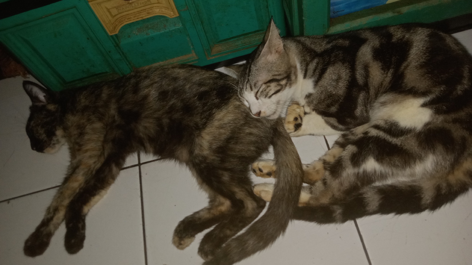 Memory