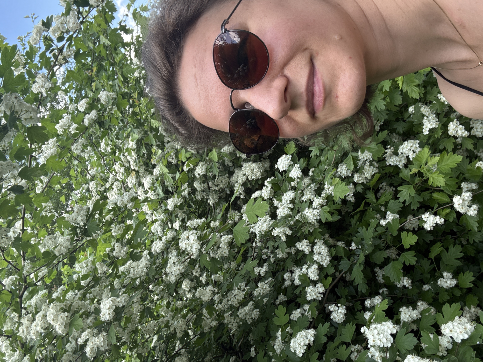 A female individual is depicted in a close-up, outdoor portrait, positioned in the right foreground of the frame. She wears dark, round sunglasses that reflect a bright blue sky and green foliage. Her hair is medium brown and wavy, partially pulled back from her face, which exhibits a slight smile. A black strap, likely from a top, and a thin gold necklace are visible on her lower right side. The background is dominated by a dense bush or small tree covered in abundant clusters of small white flowers and green, lobed leaves, consistent with a hawthorn (Crataegus) in full bloom. A section of blue sky with minimal white clouds is visible in the upper right background. The image provides no specific visual markers to determine a precise location within the city of Saint Petersburg, Russia.
