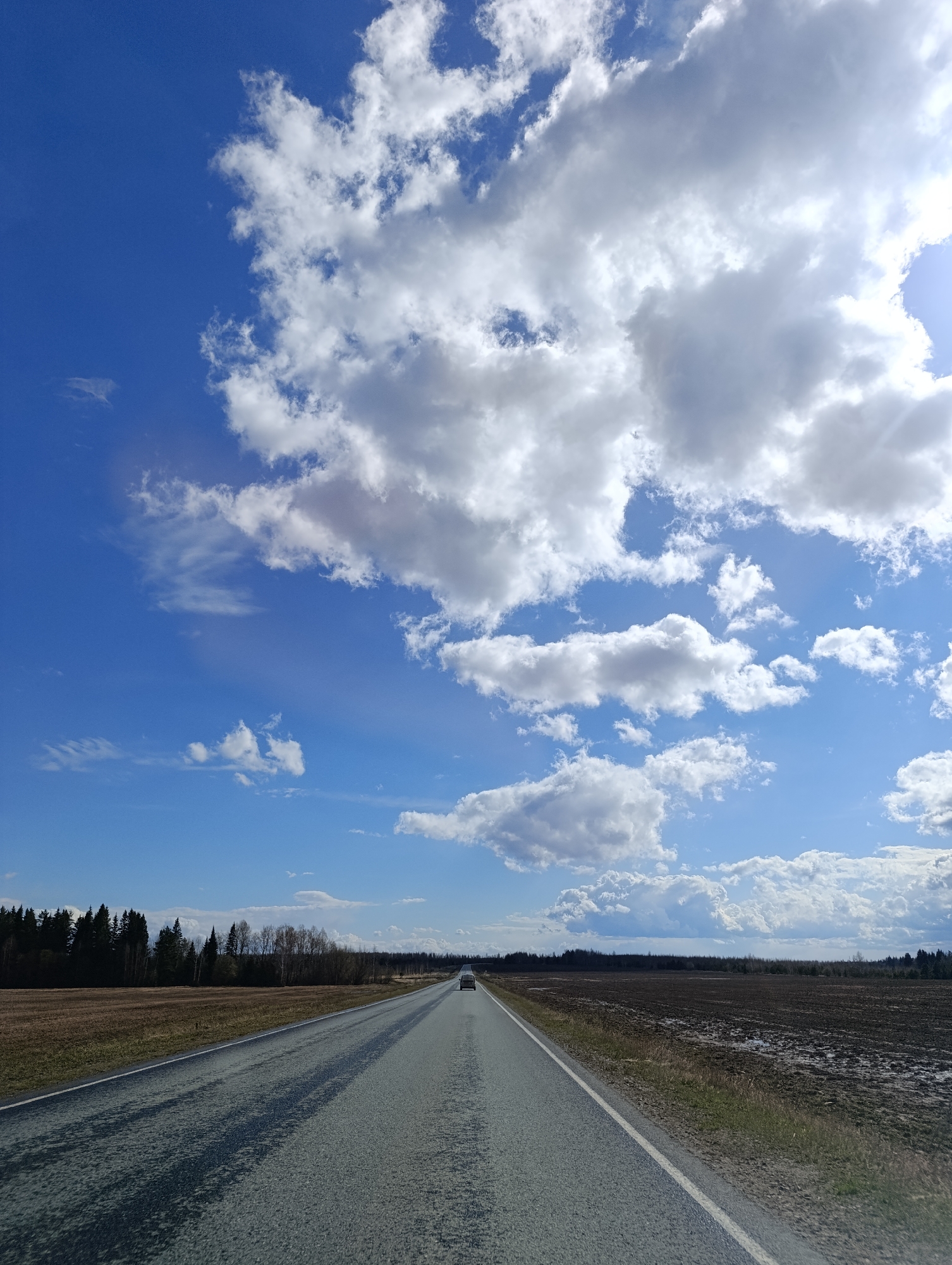 The image presents a wide, open view of a rural road extending into the horizon under a vibrant, partly cloudy sky. The road, made of asphalt, is dark grey with a prominent white solid line on the right side of the visible lane, indicating a journey forward. Shadows of clouds are visible on the road surface.
On the left side of the road, a dense forest of dark evergreen trees runs alongside a brown, possibly dormant field. Further down this side, there are some bare deciduous trees mixed with evergreens. On the right, a large expanse of dark brown, presumably agricultural land, stretches out, appearing somewhat wet with visible puddles and patches of emerging light green vegetation. A distant treeline marks the far edge of this field.
In the distance, a light-colored car is visible, moving away from the viewer along the straight road, appearing as a small point on the vanishing point.
The sky dominates the upper portion of the frame, showcasing a beautiful deep blue. It is filled with numerous fluffy, white cumulus clouds of various sizes, some casting soft shadows on themselves. On the right side, the sun is partially obscured by a large cloud, creating a bright flare and visible rays of light, indicating a bright, sunny day. The presence of some wispy cirrus clouds adds to the texture of the sky. The overall setting suggests a pleasant day in a vast, open landscape, likely during late winter or early spring given the condition of the fields and some trees. No visible text is present in the image.