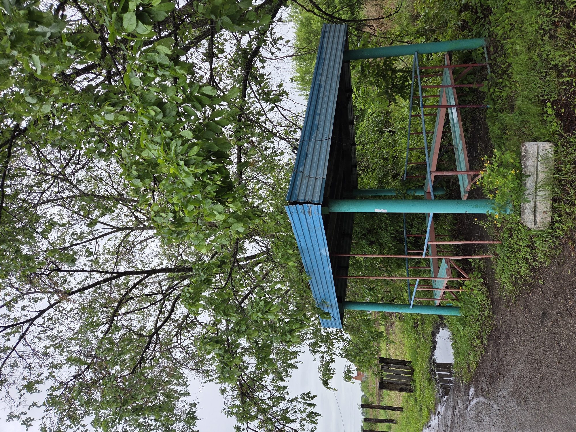 This image depicts a weathered, open-sided shelter situated in a rural or semi-rural environment within the city of Pronkino, Russia, under an overcast sky. A large deciduous tree with dense green foliage in varying states of leafiness dominates the upper portion of the frame, providing shade over the shelter.
The shelter features a light blue corrugated metal roof, visibly worn with chipped paint, supported by four teal-colored posts. Inside, a two-tiered wooden bench system, painted a faded green or teal with reddish-brown metal frames, is present. The ground beneath the shelter is covered in green grass and weeds, with some small yellow flowers near a rough concrete block or planter in the foreground.
To the left of the shelter, a damp, dark dirt or gravel road exhibits tire tracks or footpaths and several small puddles reflecting the grey sky. Along the road's edge, a line of rustic wooden fence posts extends into the mid-ground. Beyond the fence and further into the distance on the left, a building with a reddish-brown roof is partially visible above the treeline. The area surrounding the shelter and extending into the background is overgrown with various green bushes and vegetation. No individuals, animals, or explicit actions are observed within the scene.